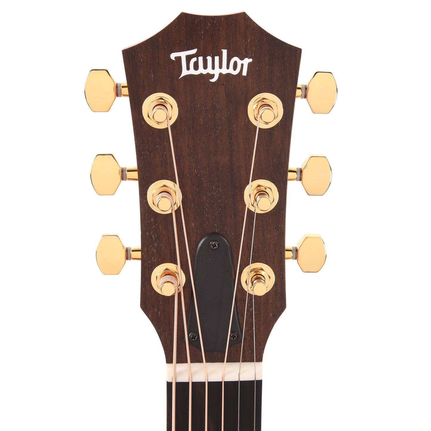 Taylor Limited 50th Anniversary GS Mini-e Torrefied Spruce/Rosewood Natural ES2 Acoustic Guitars / Mini/Travel