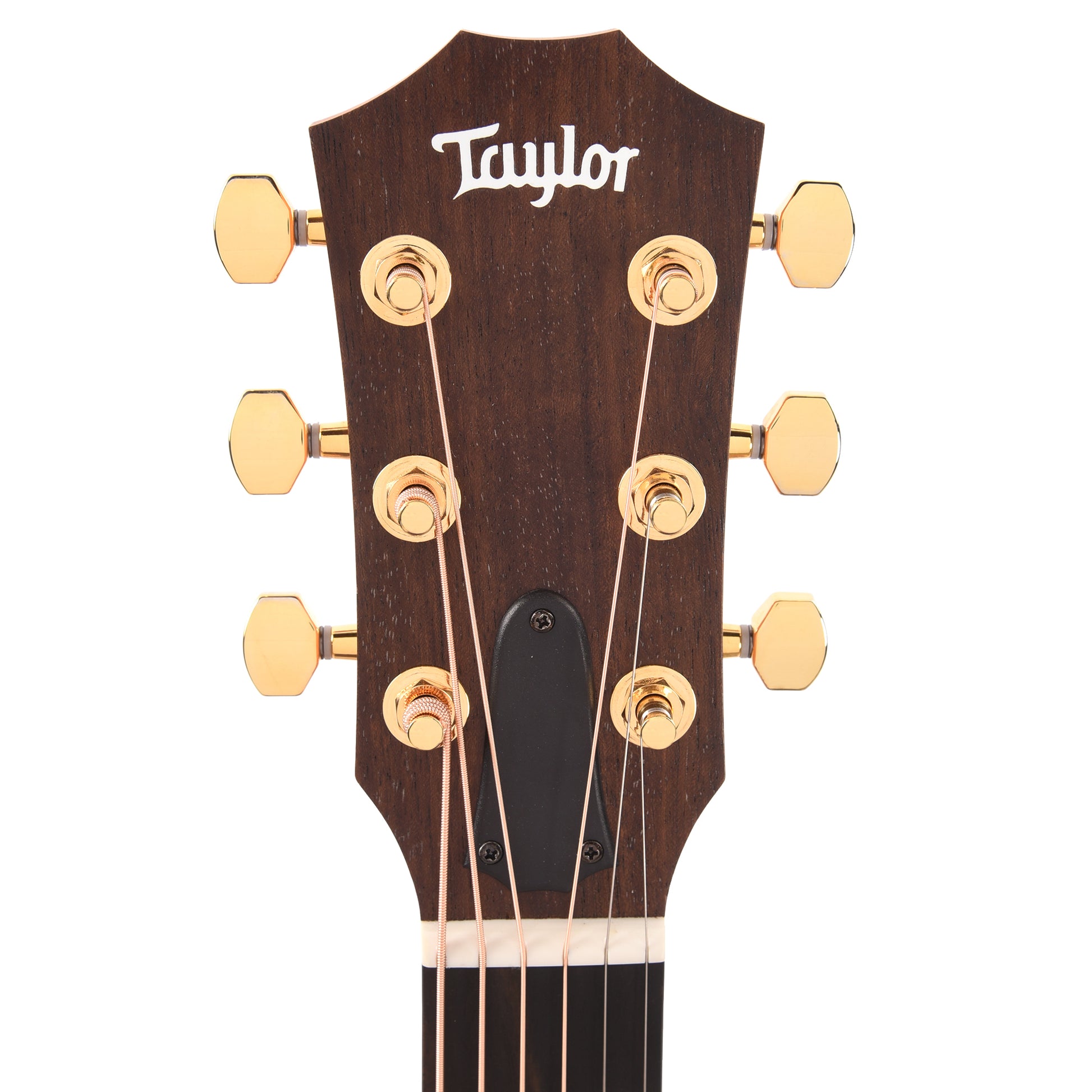Taylor Limited 50th Anniversary GS Mini-e Torrefied Spruce/Rosewood Natural ES2 Acoustic Guitars / Mini/Travel