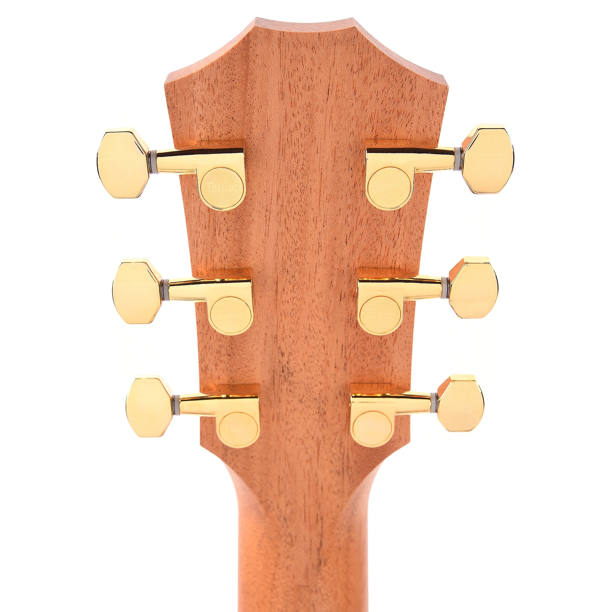 Taylor Limited 50th Anniversary GS Mini-e Torrefied Spruce/Rosewood Natural ES2 Acoustic Guitars / Mini/Travel
