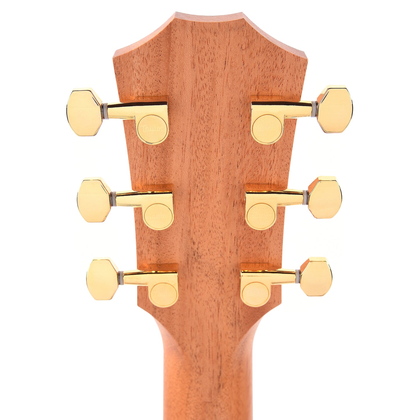Taylor Limited 50th Anniversary GS Mini-e Torrefied Spruce/Rosewood Natural ES2 Acoustic Guitars / Mini/Travel