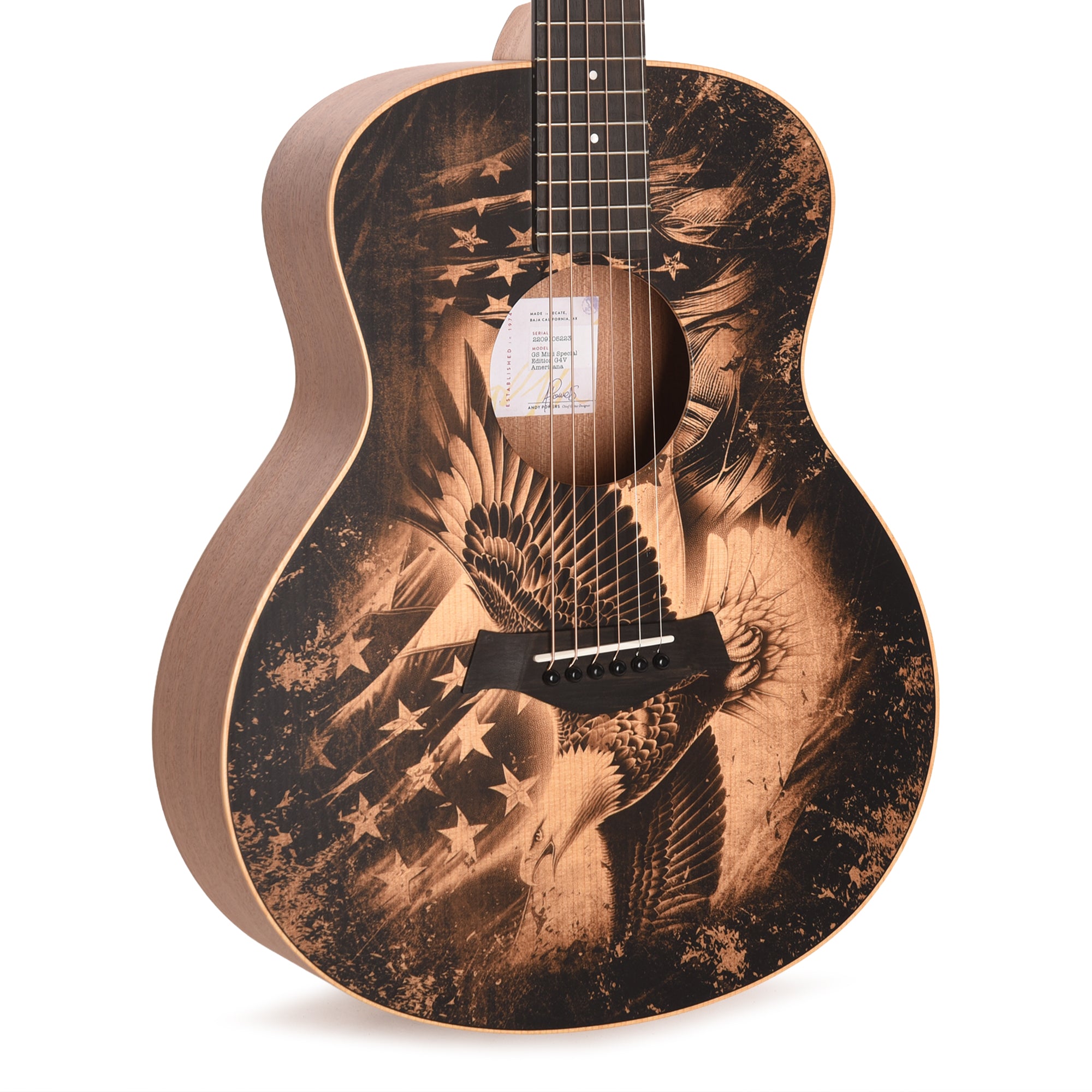 Taylor Special Edition GS Mini Torrefied Spruce/Sapele Americana Custom Artwork Acoustic Guitars / Mini/Travel