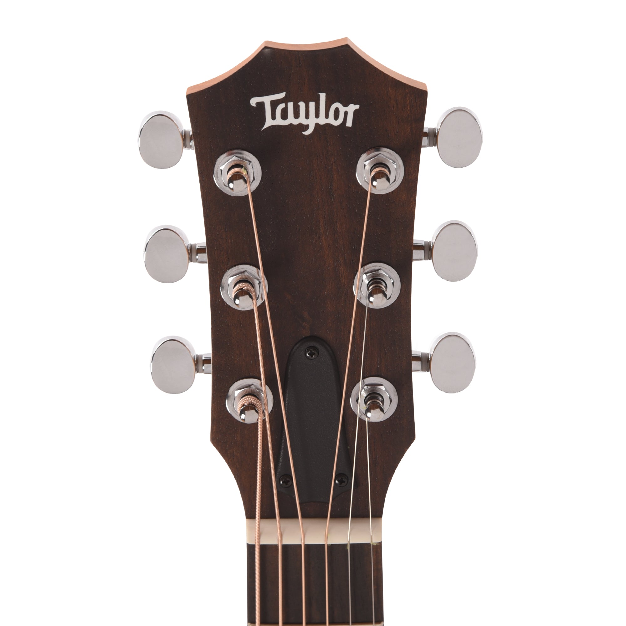 Taylor Special Edition GS Mini Torrefied Spruce/Sapele Americana Custom Artwork Acoustic Guitars / Mini/Travel