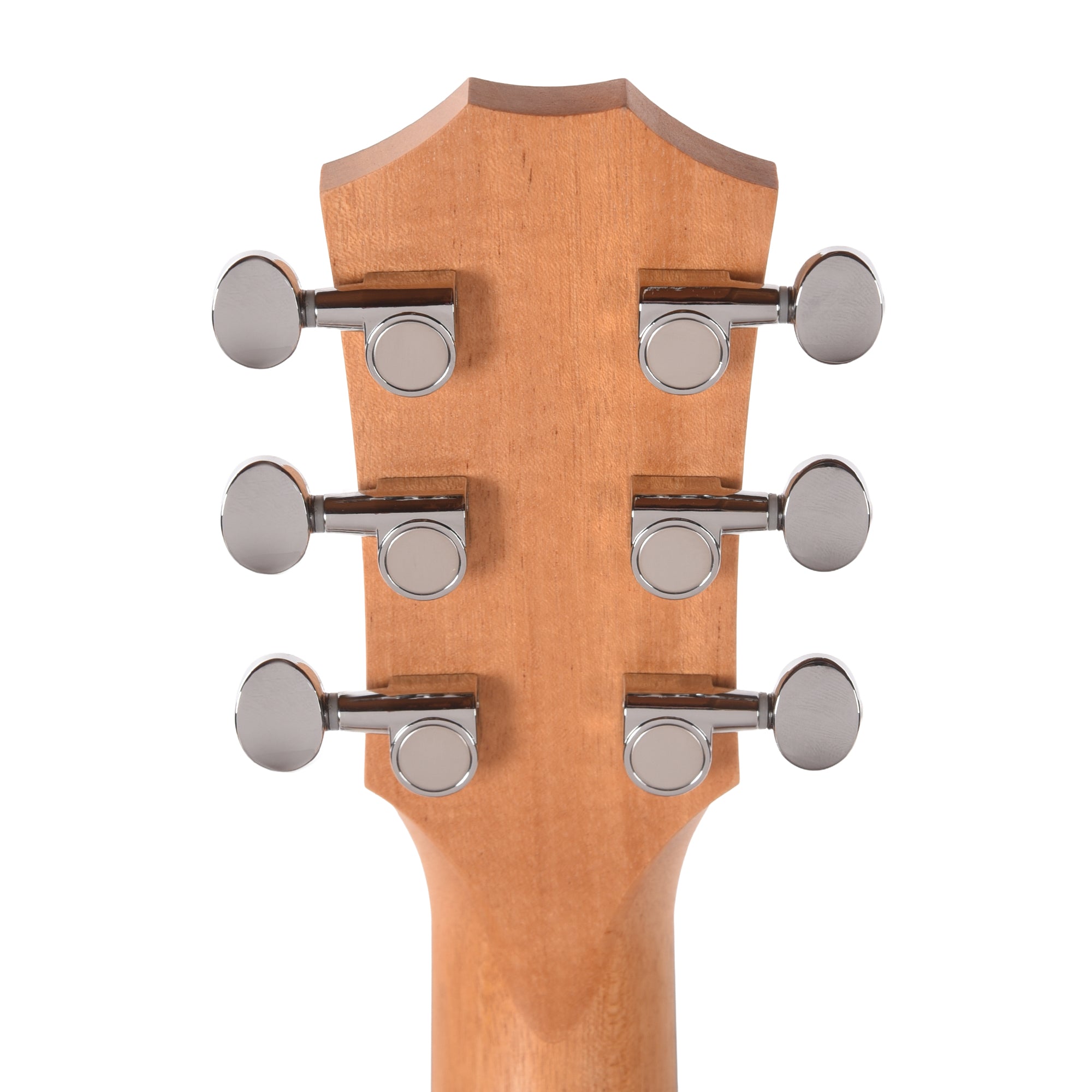 Taylor Special Edition GS Mini Torrefied Spruce/Sapele Americana Custom Artwork Acoustic Guitars / Mini/Travel