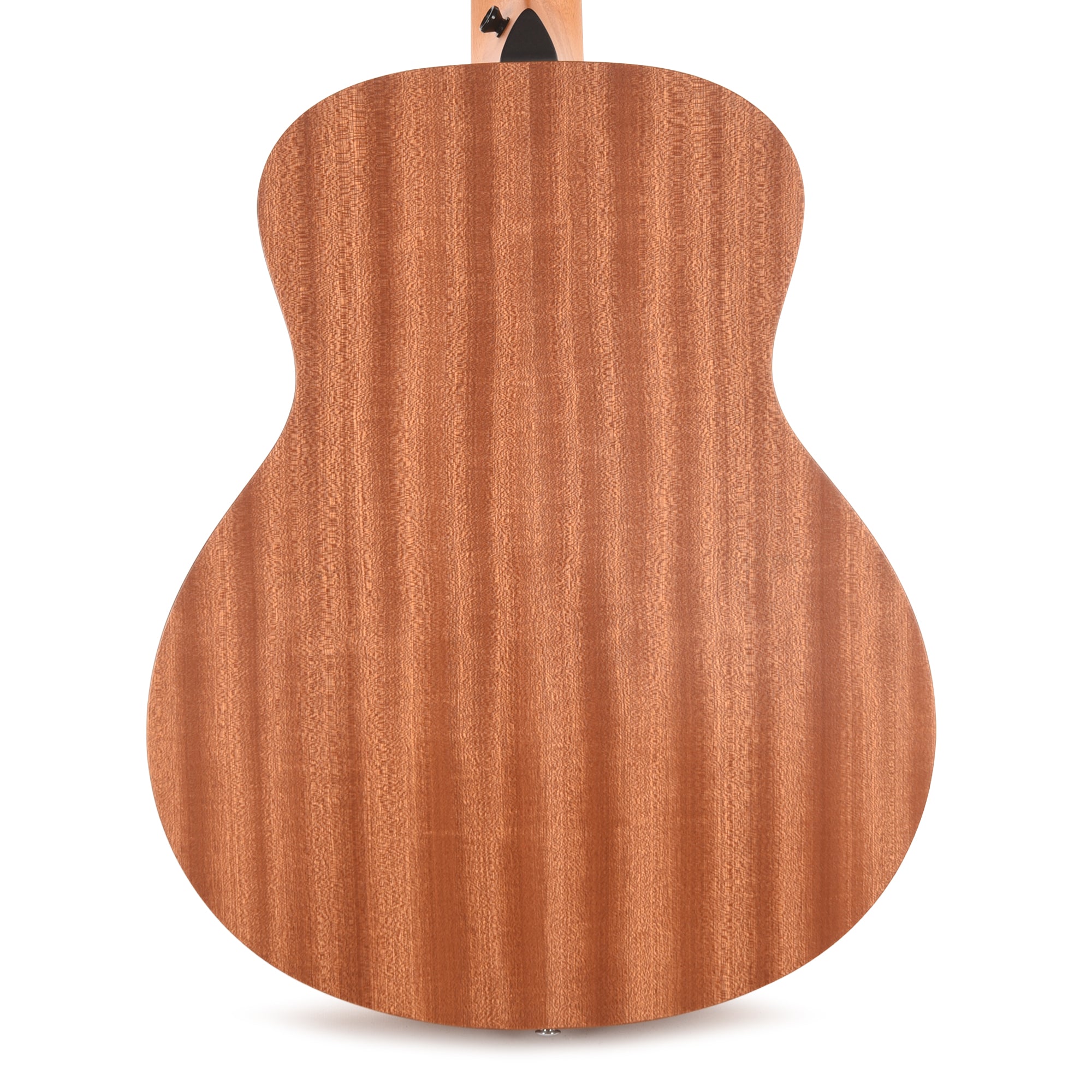 Taylor Special Edition GS Mini Torrefied Spruce/Sapele Americana Custom Artwork Acoustic Guitars / Mini/Travel