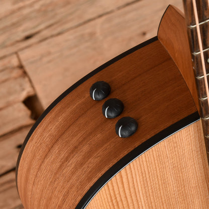 Taylor 117e Grand Pacific Torrefied Sitka/Sapele Natural ES2 Acoustic Guitars / OM and Auditorium