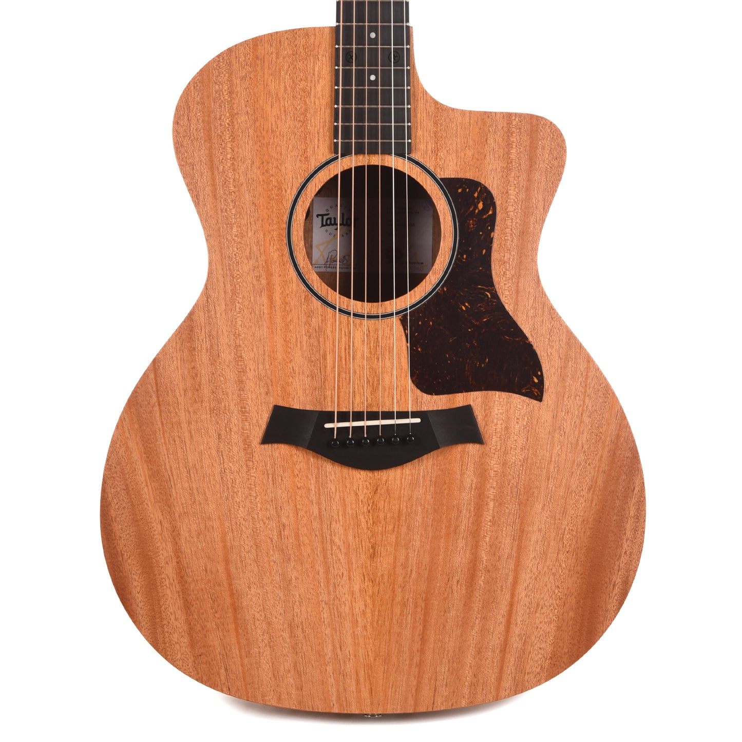 Taylor 24ce Neo-Tropical Mahogany/African Sapele Natural w/Fishman Sonitone GT-2 Acoustic Guitars / OM and Auditorium