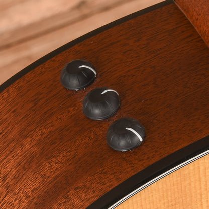 Taylor 314ce Natural 2010 Acoustic Guitars / OM and Auditorium