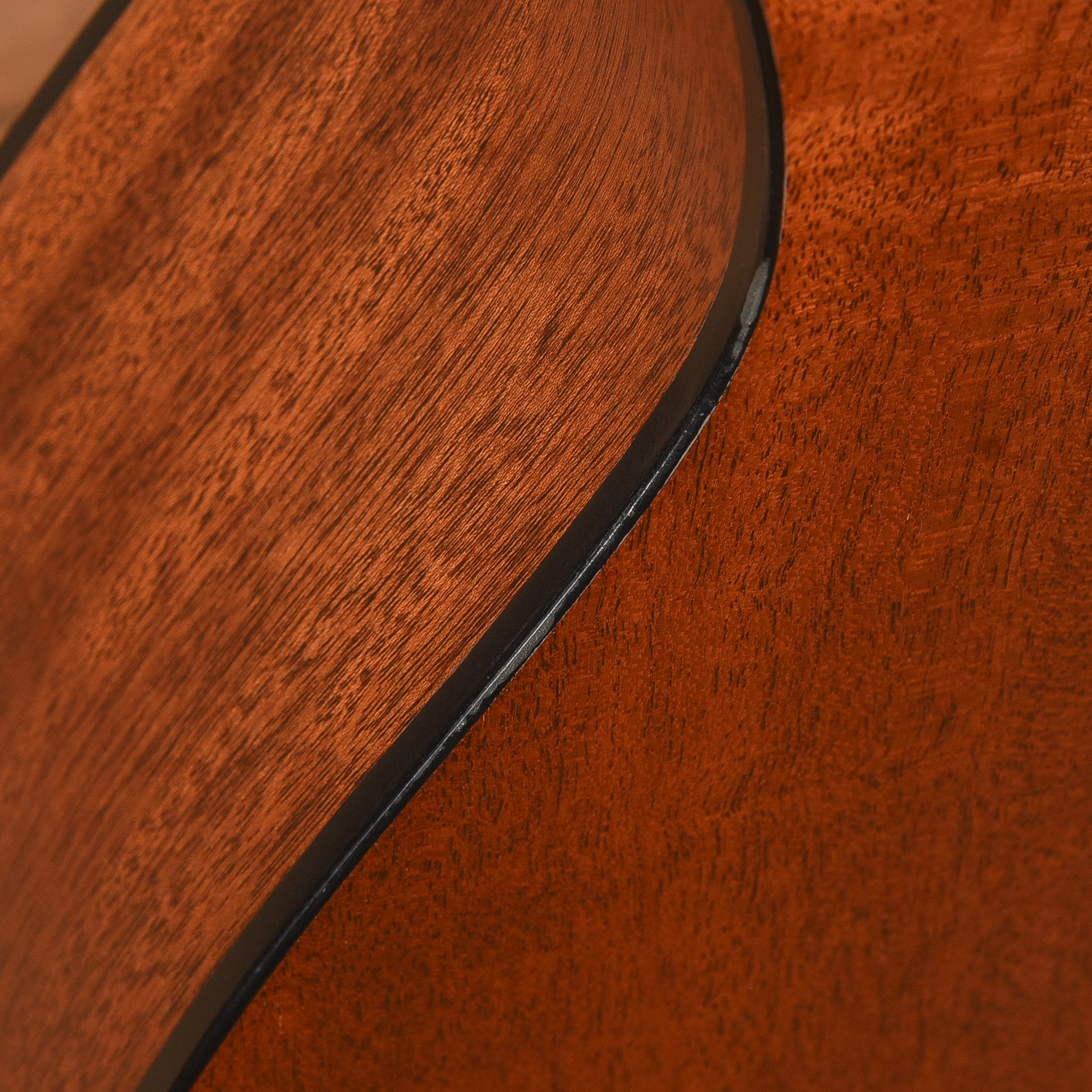 Taylor 314ce Natural 2010 Acoustic Guitars / OM and Auditorium