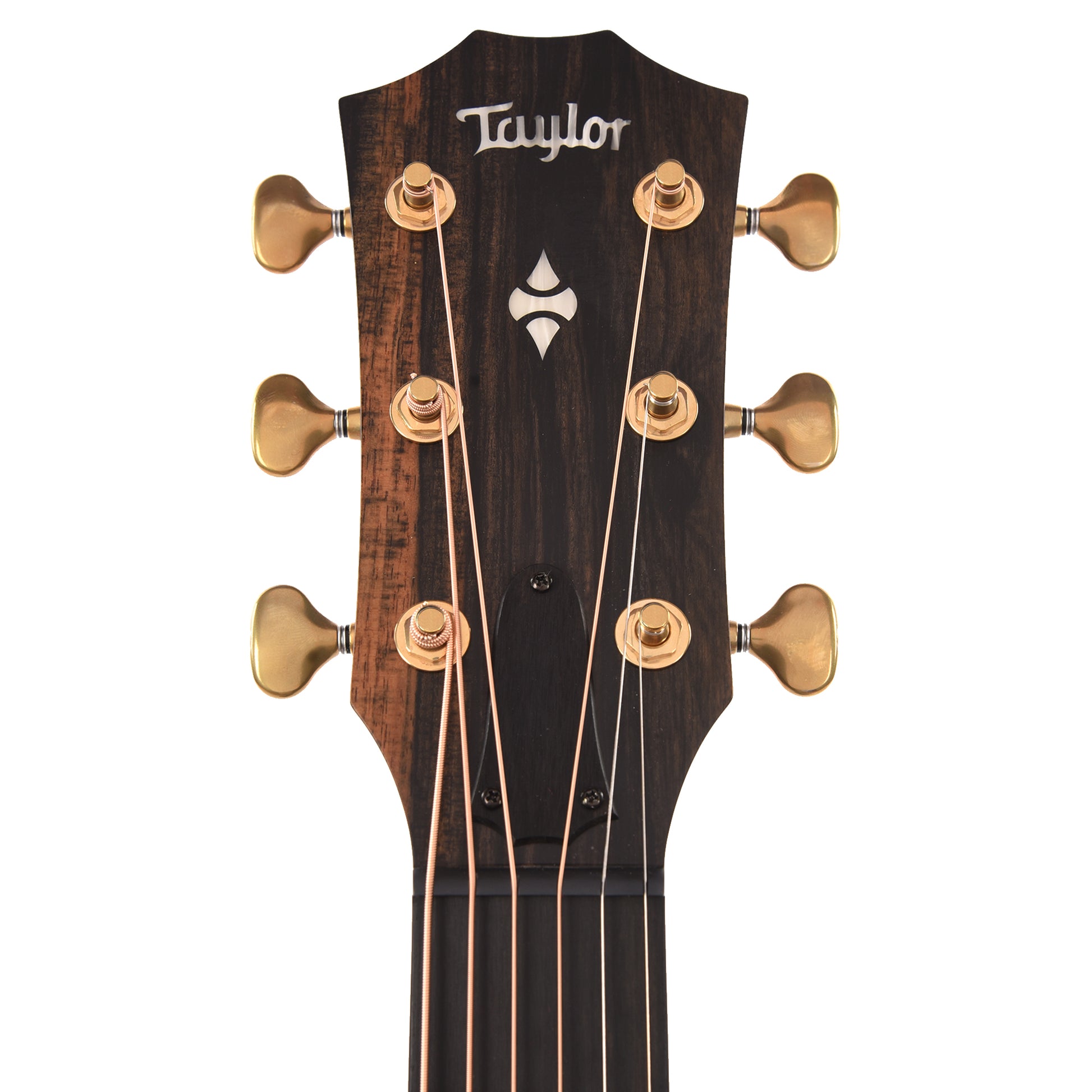 Taylor 50th Anniversary Builder's Edition 314ce Sitka/Urban Ash Kona Burst ES2 Acoustic Guitars / OM and Auditorium