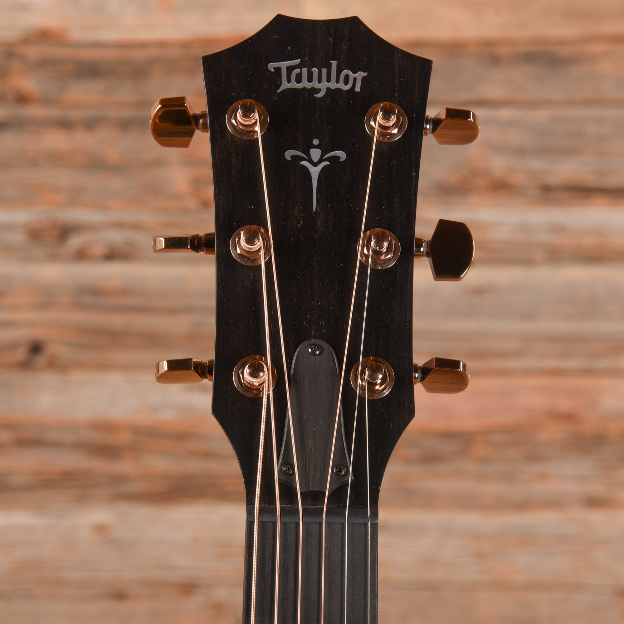Taylor 724ce Koa 2023 Acoustic Guitars / OM and Auditorium