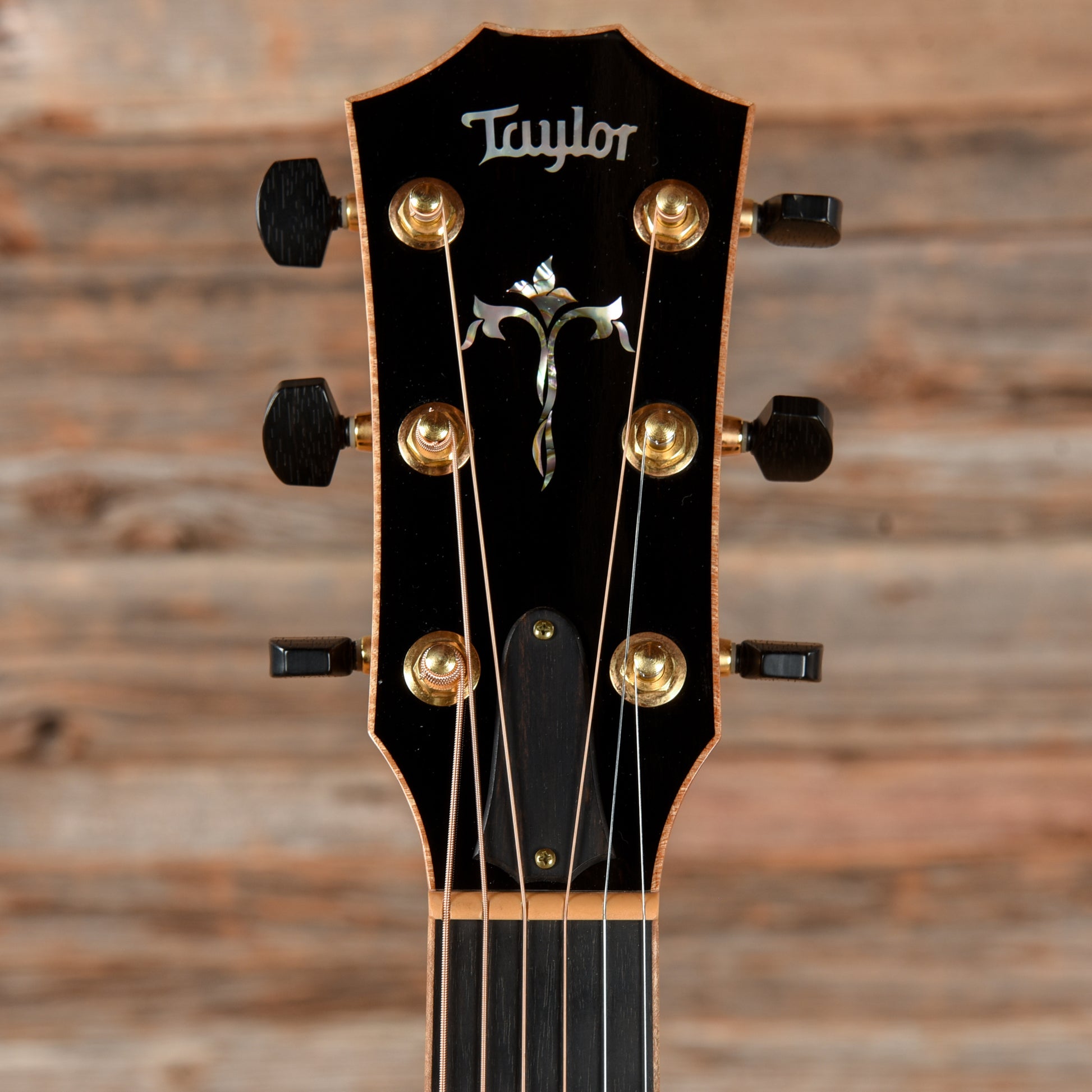Taylor 914ce Fall Limited Cocobolo Natural 2006 Acoustic Guitars / OM and Auditorium