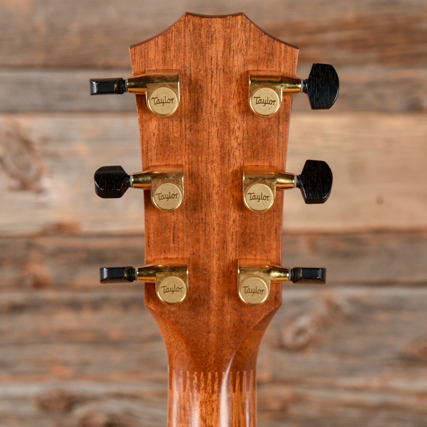 Taylor 914ce Fall Limited Cocobolo Natural 2006 Acoustic Guitars / OM and Auditorium