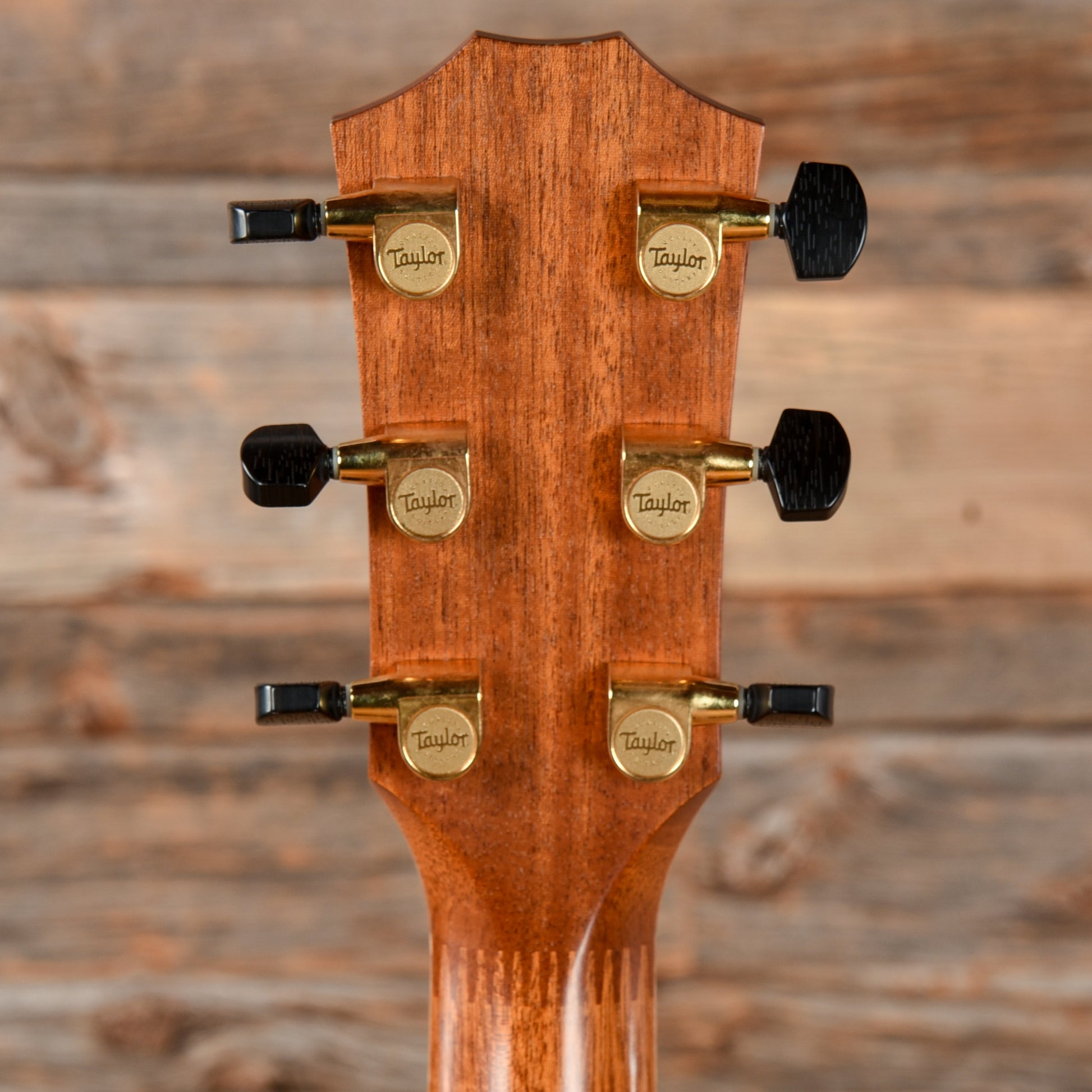 Taylor 914ce Fall Limited Cocobolo Natural 2006 Acoustic Guitars / OM and Auditorium