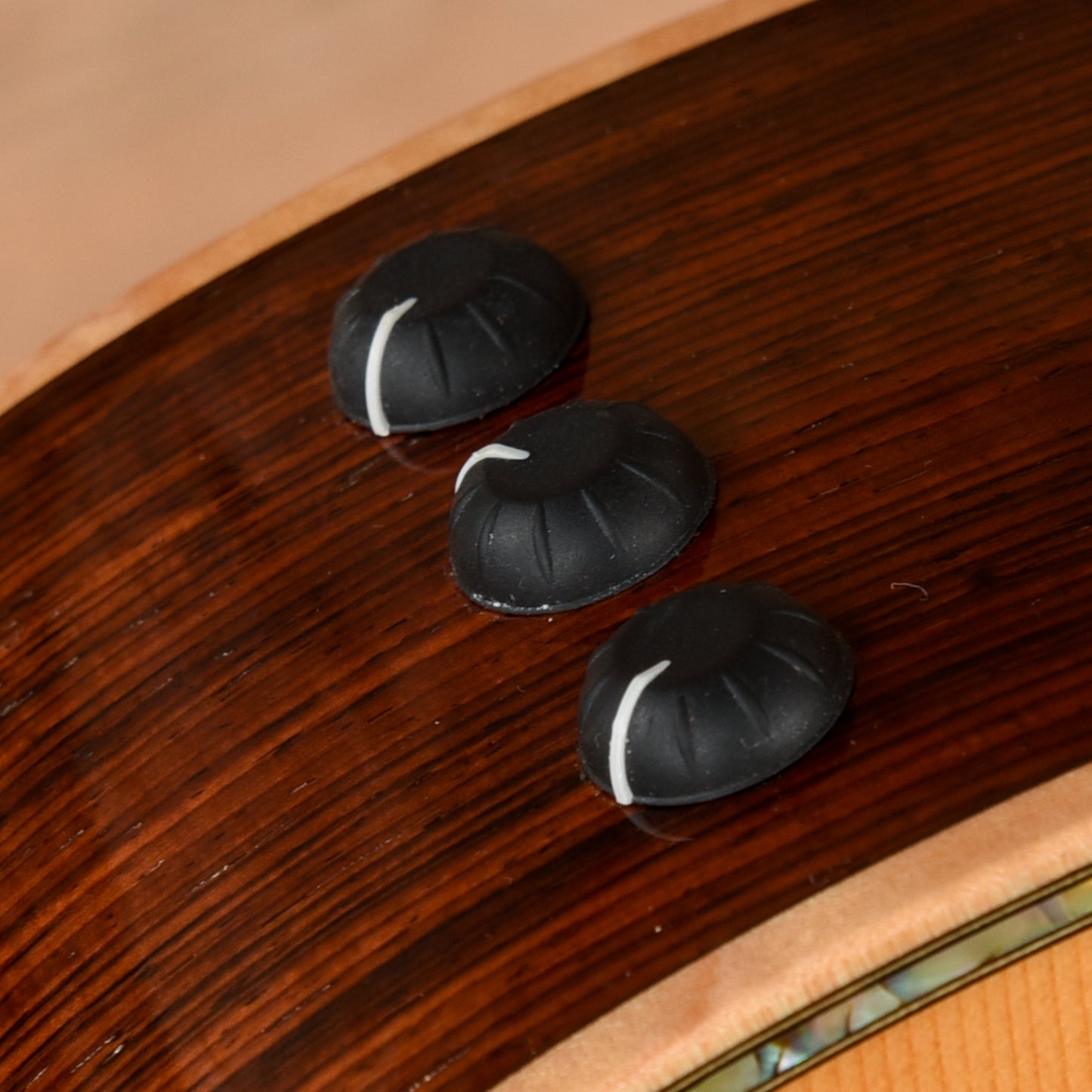 Taylor 914ce Fall Limited Cocobolo Natural 2006 Acoustic Guitars / OM and Auditorium