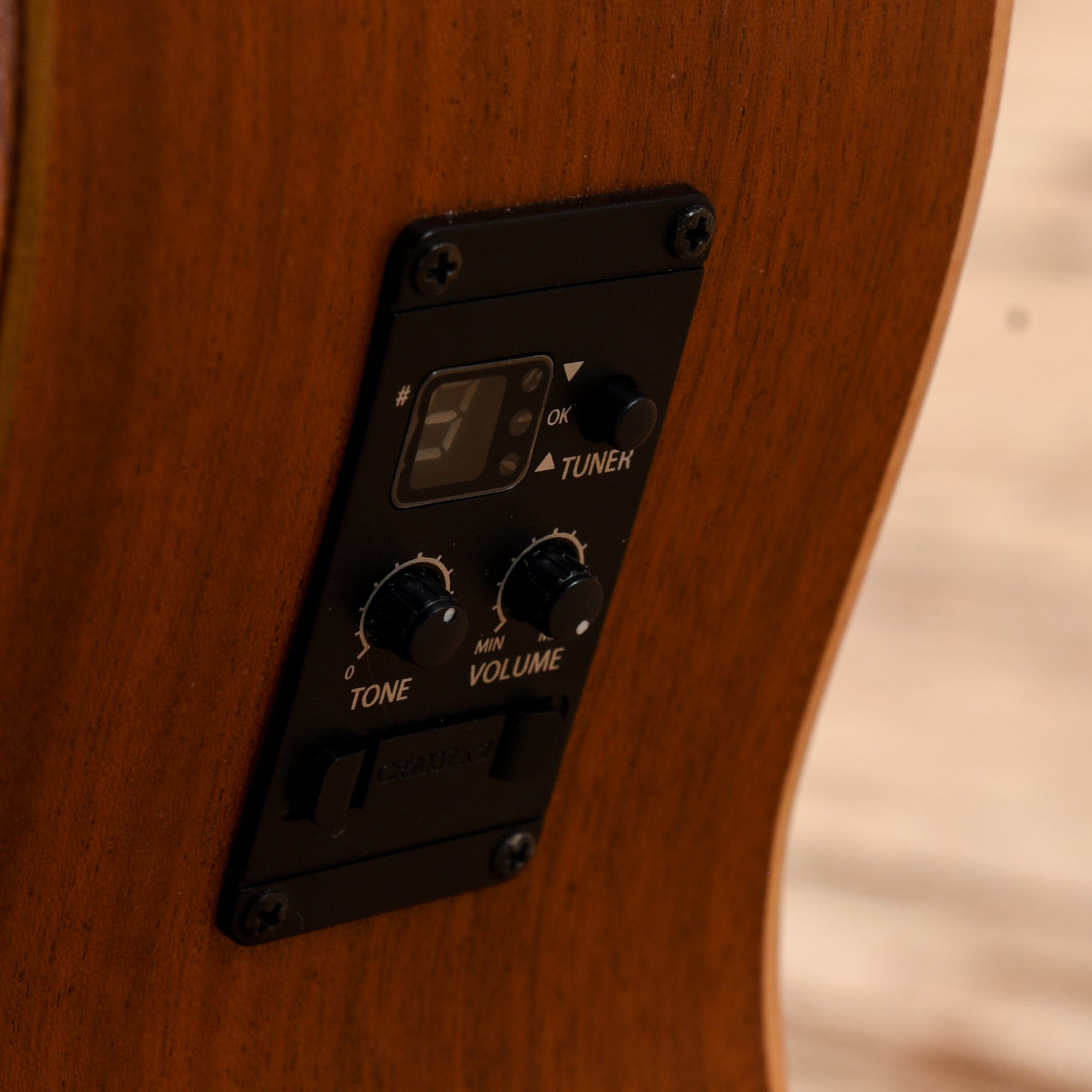 Taylor Academy 12e Natural 2019 Acoustic Guitars / OM and Auditorium