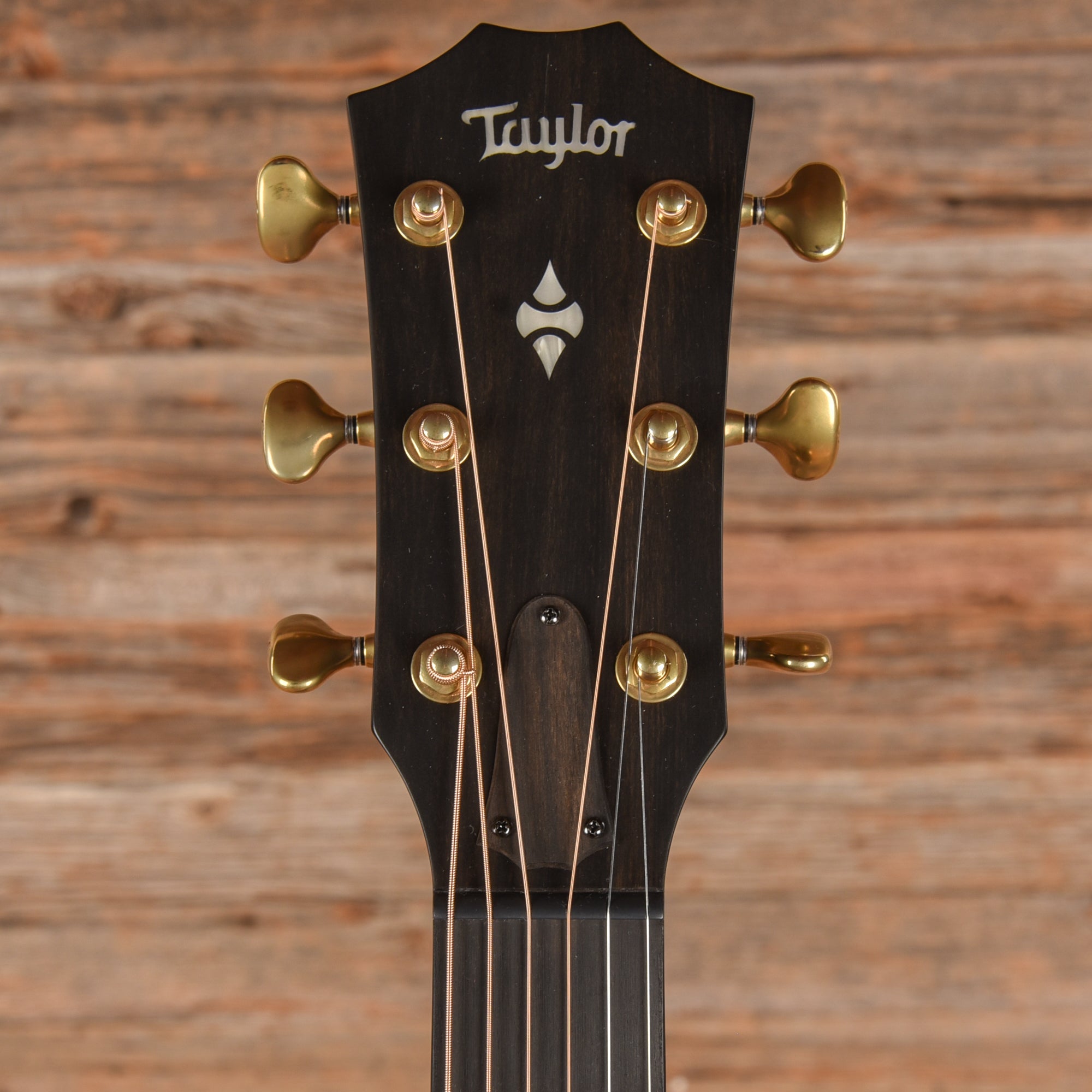 Taylor Builder's Edition 314ce Natural 2024 Acoustic Guitars / OM and Auditorium