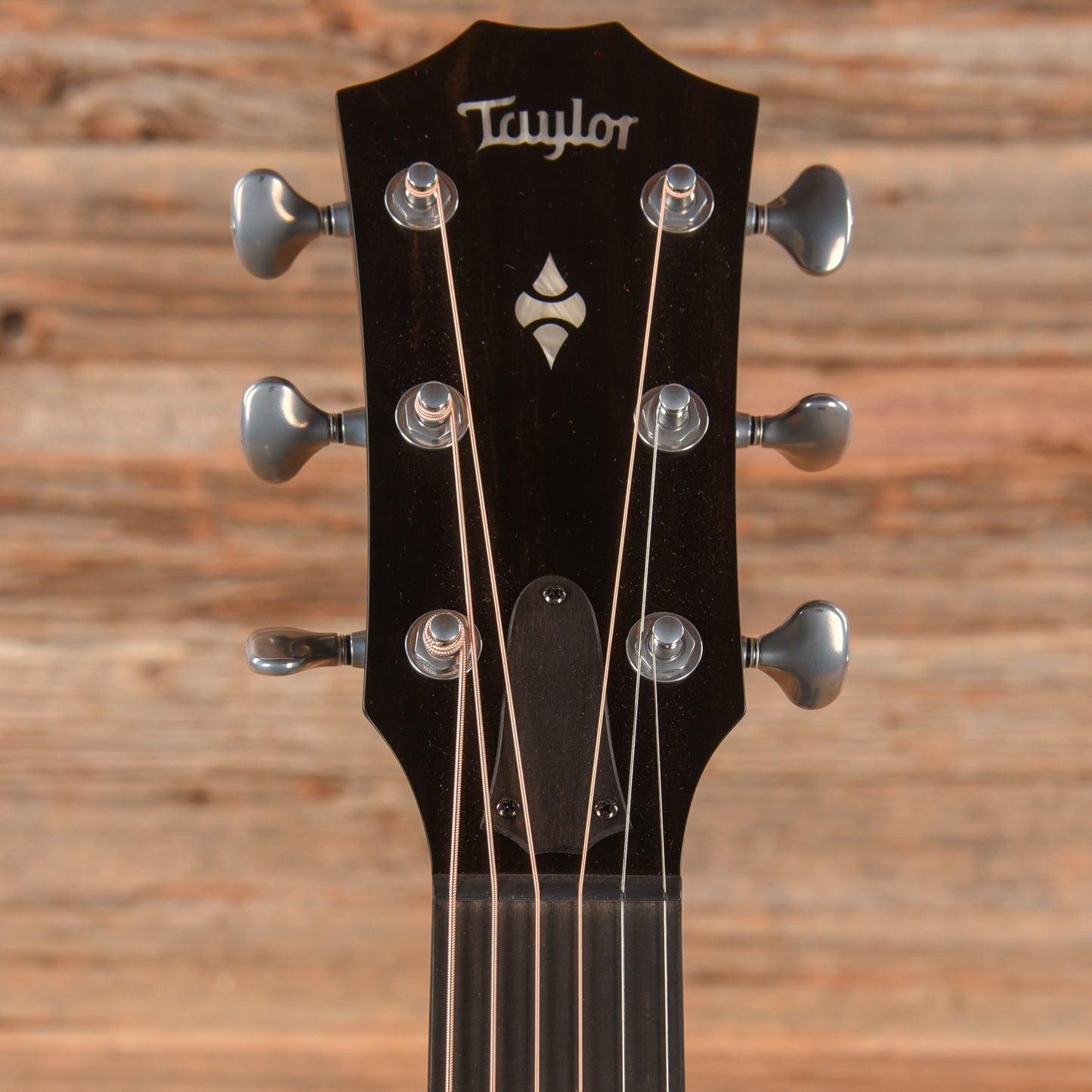 Taylor Builder's Edition 514ce Natural Acoustic Guitars / OM and Auditorium