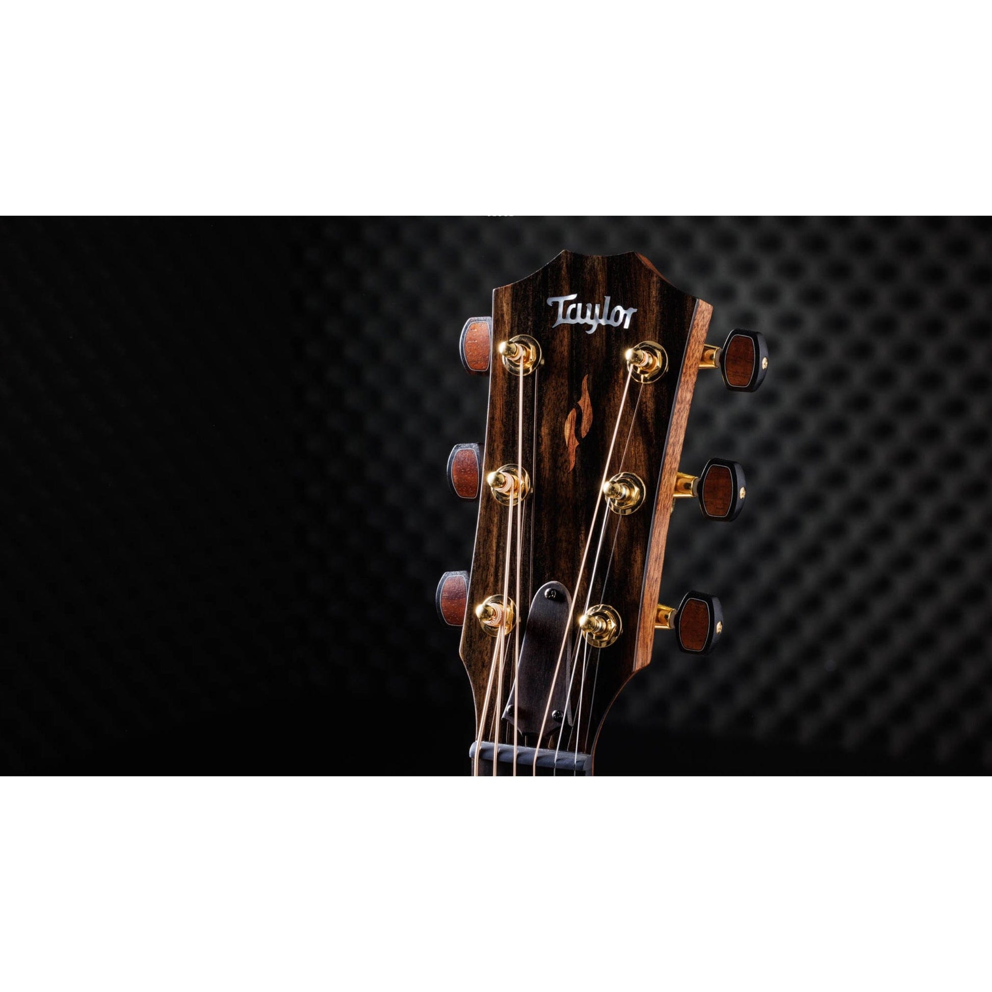 Taylor Custom "Catch" 2023 #002 Grand Auditorium Torrefied Sitka/Quilted Big Leaf Maple Natural Acoustic Guitars / OM and Auditorium