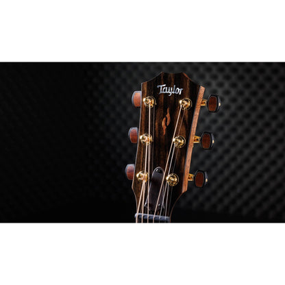 Taylor Custom "Catch" 2023 #002 Grand Auditorium Torrefied Sitka/Quilted Big Leaf Maple Natural Acoustic Guitars / OM and Auditorium