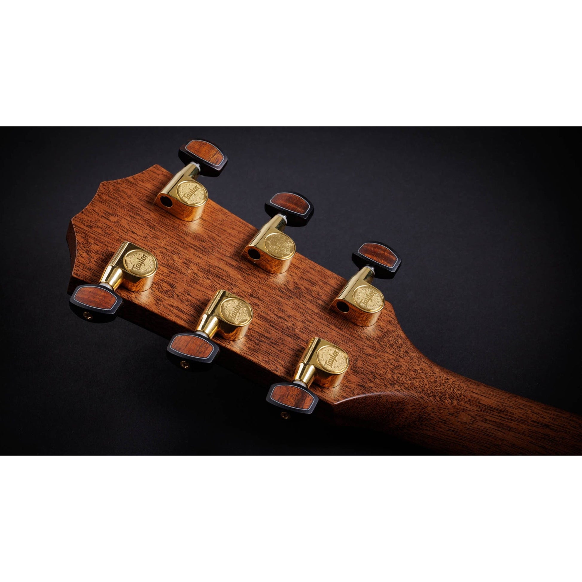 Taylor Custom "Catch" 2023 #002 Grand Auditorium Torrefied Sitka/Quilted Big Leaf Maple Natural Acoustic Guitars / OM and Auditorium