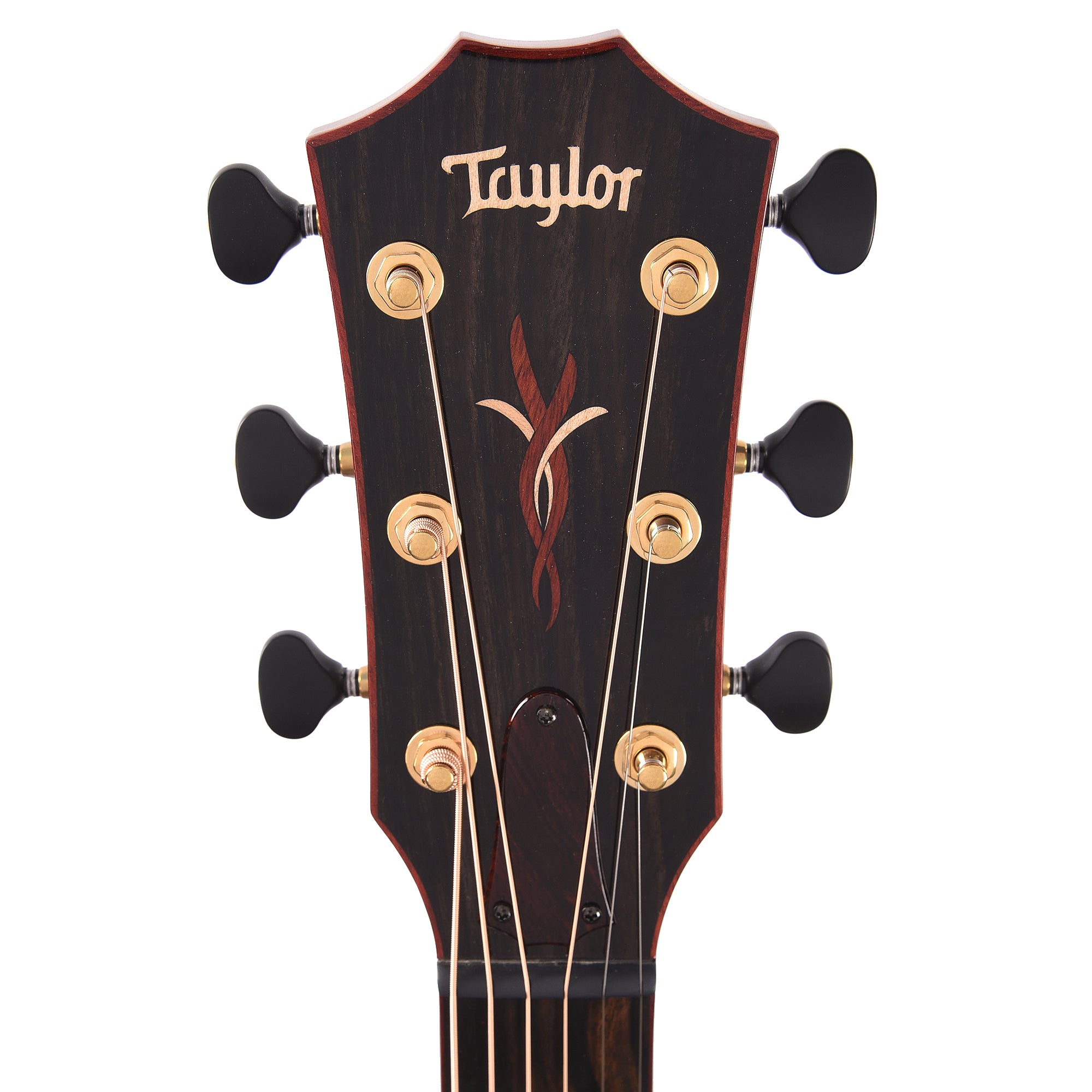 Taylor Custom Grand Auditorium Torrefied Sitka/Cocobolo Black Top ES2 w/Bloodwood Binding Acoustic Guitars / OM and Auditorium
