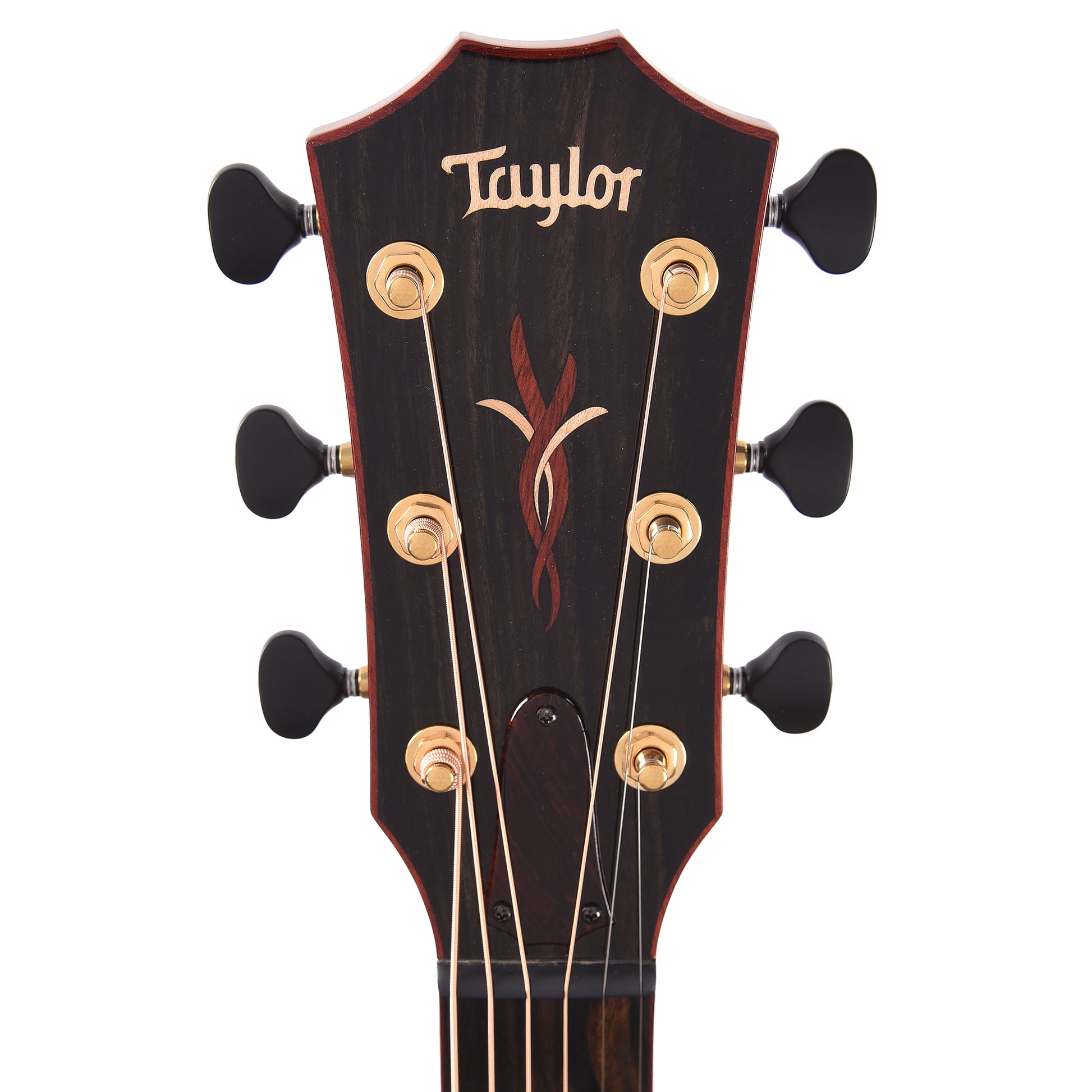 Taylor Custom Grand Auditorium Torrefied Sitka/Cocobolo Black Top ES2 w/Bloodwood Binding Acoustic Guitars / OM and Auditorium