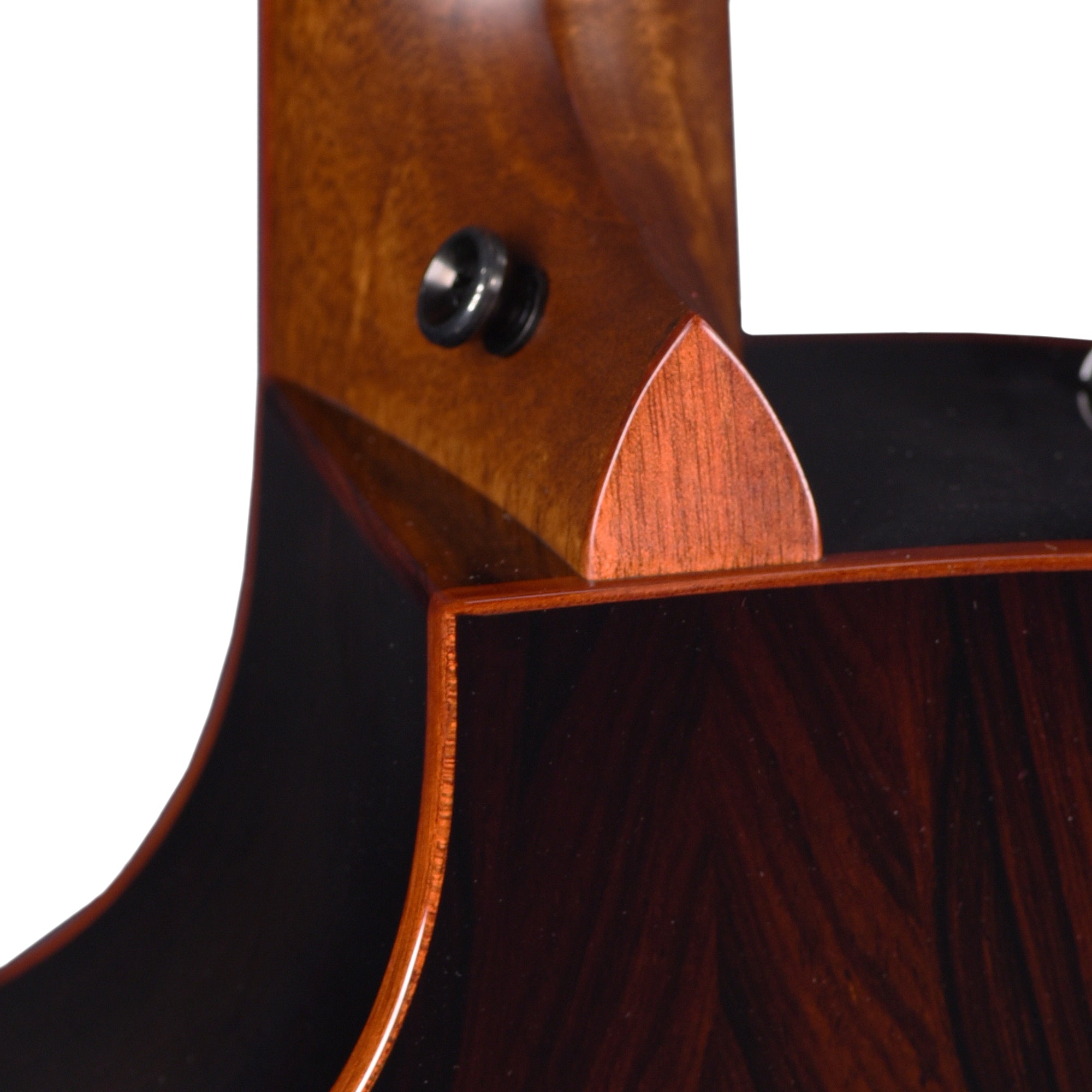 Taylor Custom Grand Auditorium Torrefied Sitka/Cocobolo Black Top ES2 w/Bloodwood Binding Acoustic Guitars / OM and Auditorium
