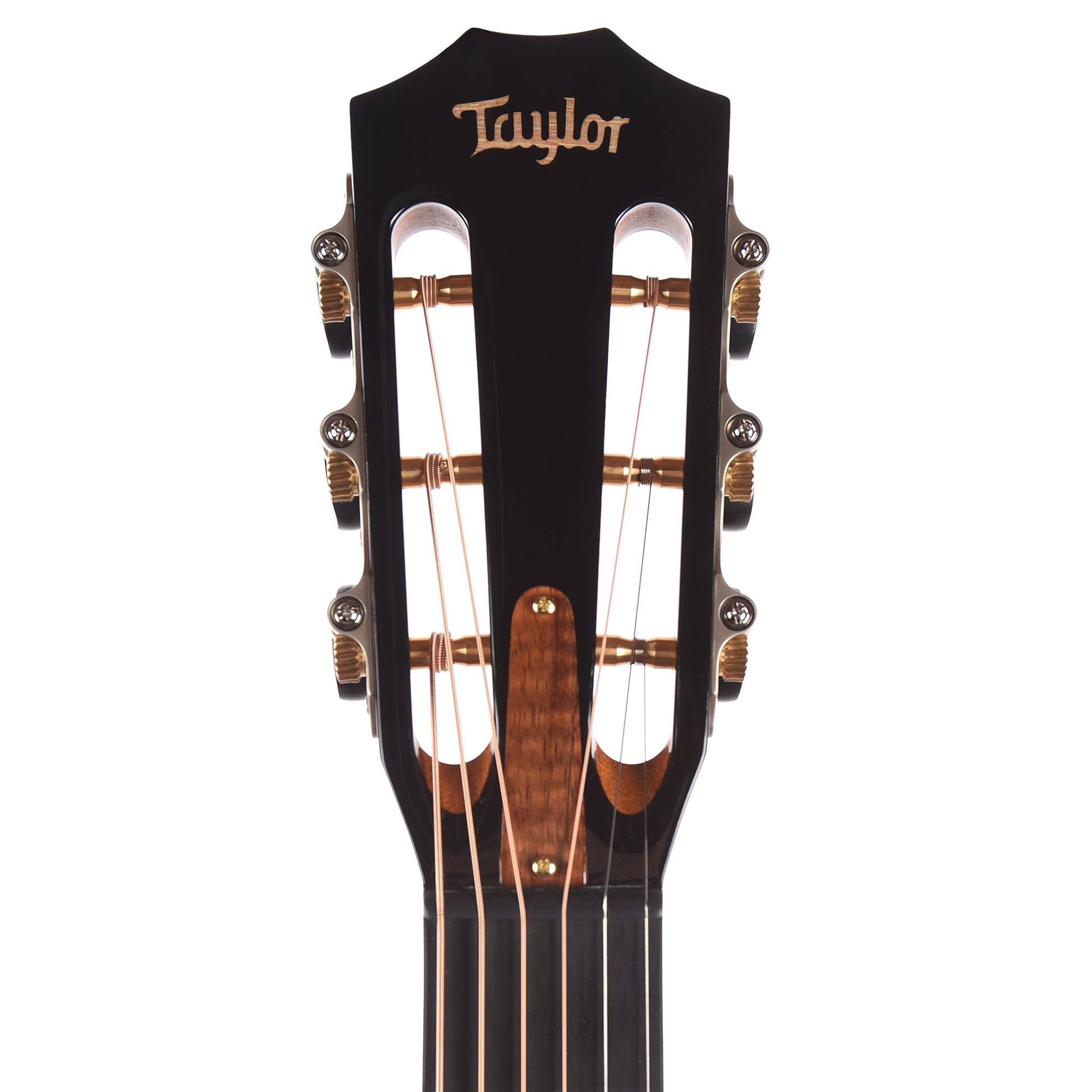 Taylor Custom Grand Concert 12-Fret Tasmanian Blackwood Antique Blonde w/Engraved Twist & Ocean Vine Inlays Acoustic Guitars / OM and Auditorium