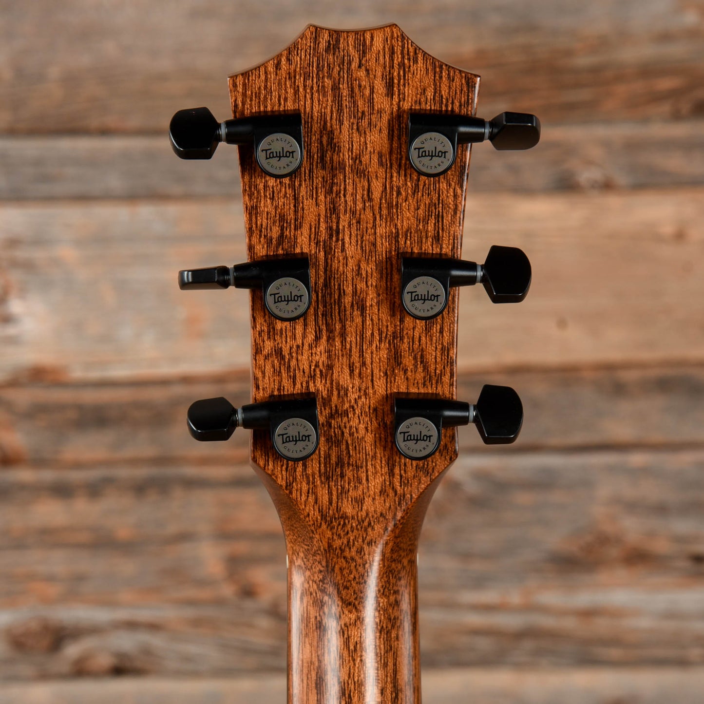 Taylor Custom GS w/ Florentine Cutaway Sinker Redwood & Indian Rosewood 2020 Acoustic Guitars / OM and Auditorium