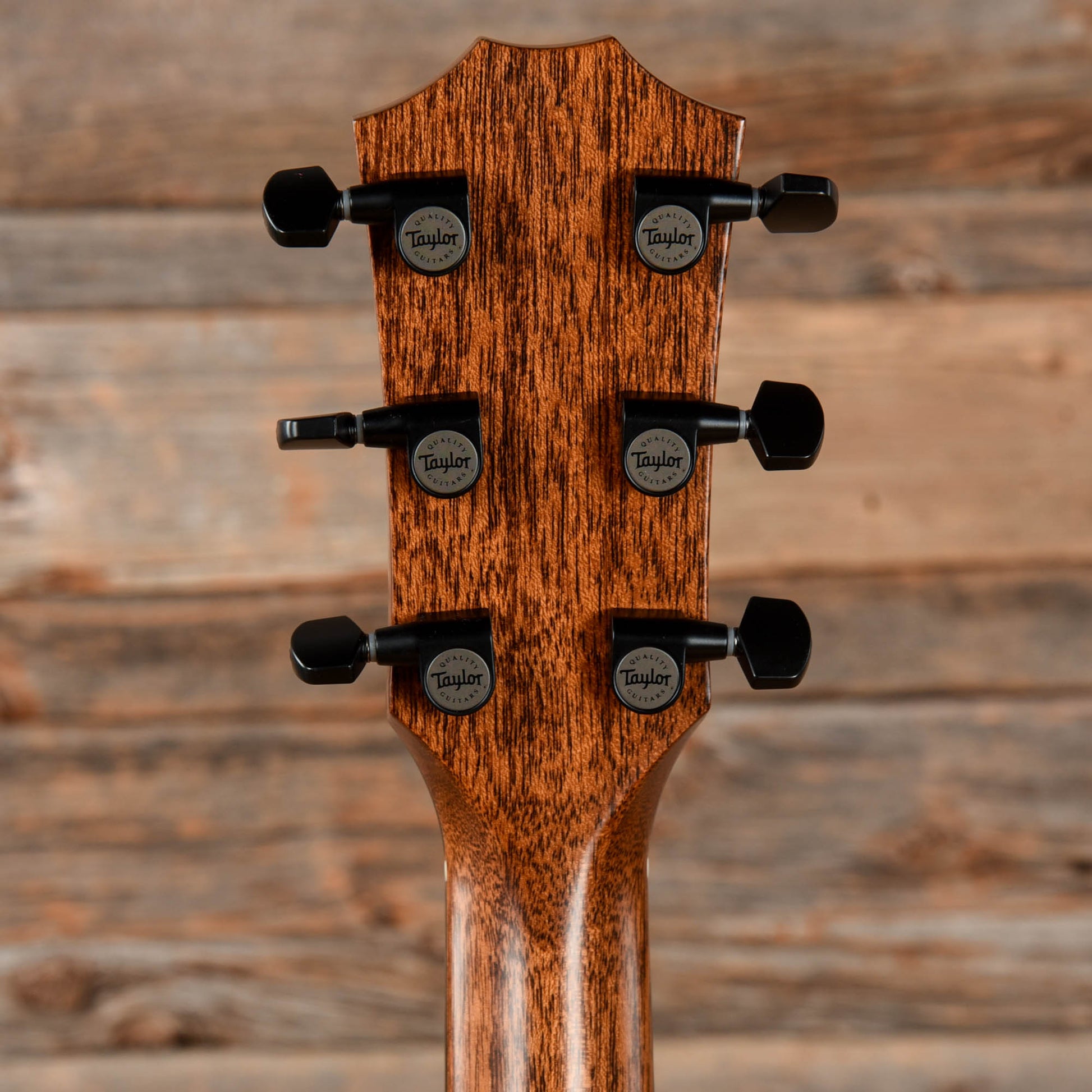 Taylor Custom GS w/ Florentine Cutaway Sinker Redwood & Indian Rosewood 2020 Acoustic Guitars / OM and Auditorium