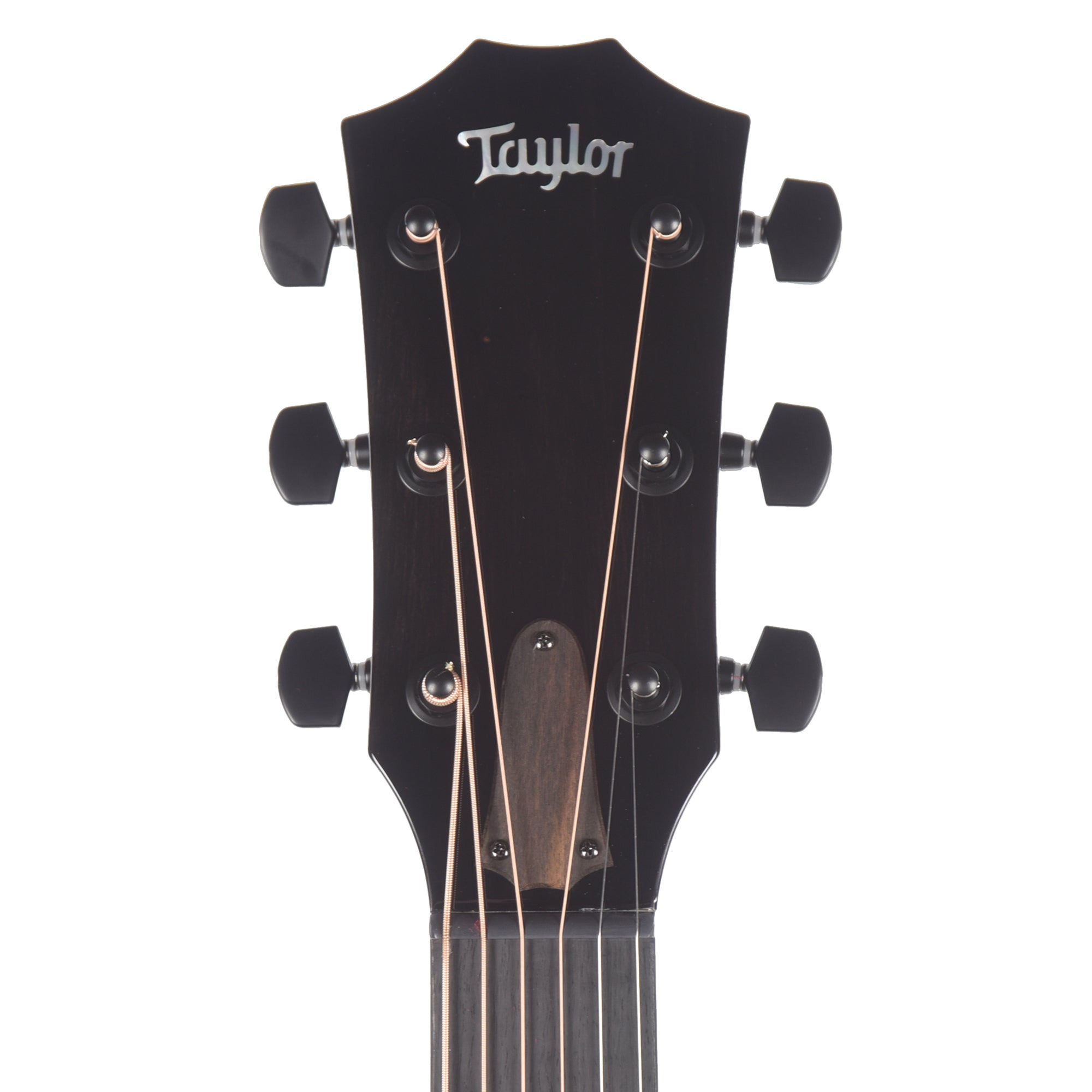 Taylor Custom 