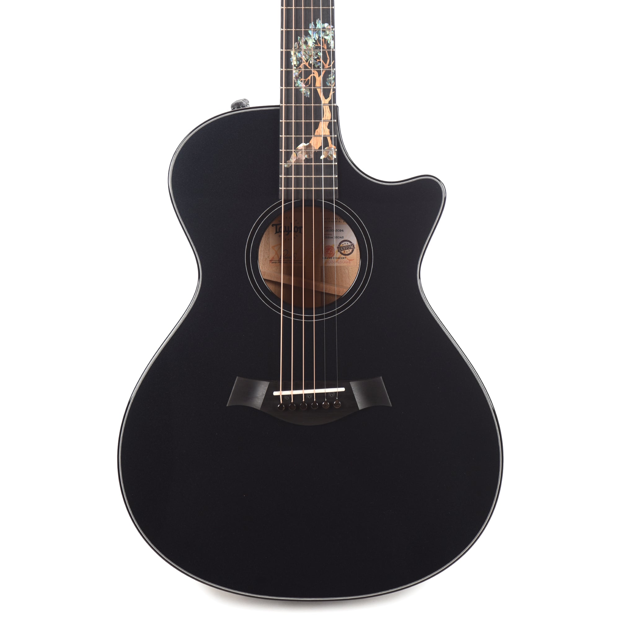 Taylor Custom 