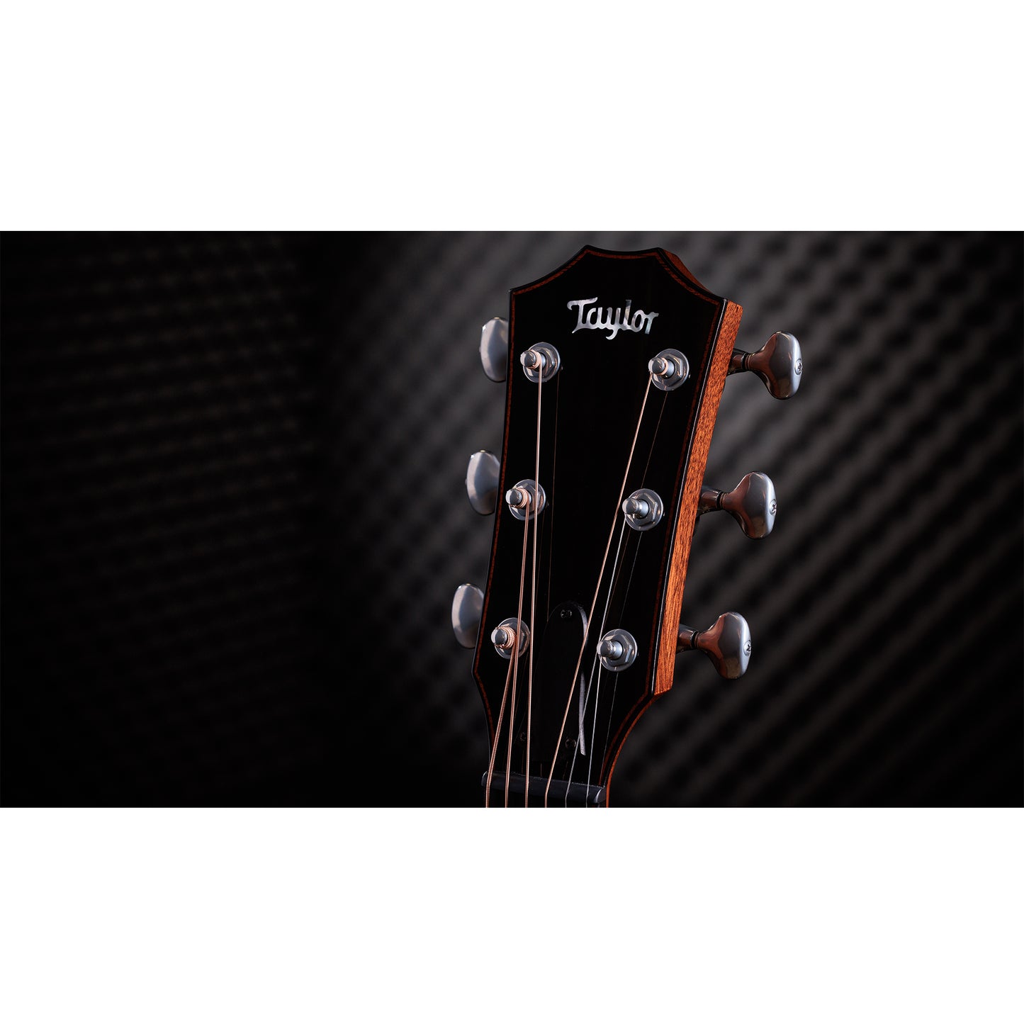 Taylor Custom "The Catch" NAMM 2024 #14 C14ce Grand Auditorium Bearclaw Sitka/AA Indian Rosewood Natural Acoustic Guitars / OM and Auditorium
