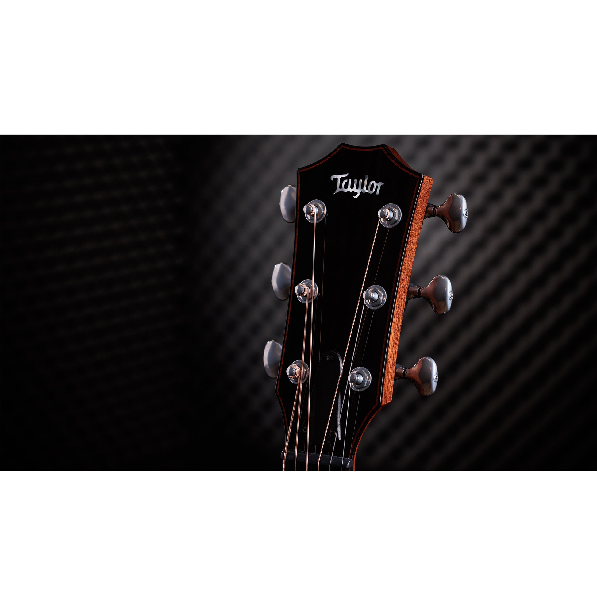Taylor Custom "The Catch" NAMM 2024 #14 C14ce Grand Auditorium Bearclaw Sitka/AA Indian Rosewood Natural Acoustic Guitars / OM and Auditorium