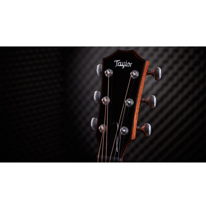 Taylor Custom "The Catch" NAMM 2024 #14 C14ce Grand Auditorium Bearclaw Sitka/AA Indian Rosewood Natural Acoustic Guitars / OM and Auditorium