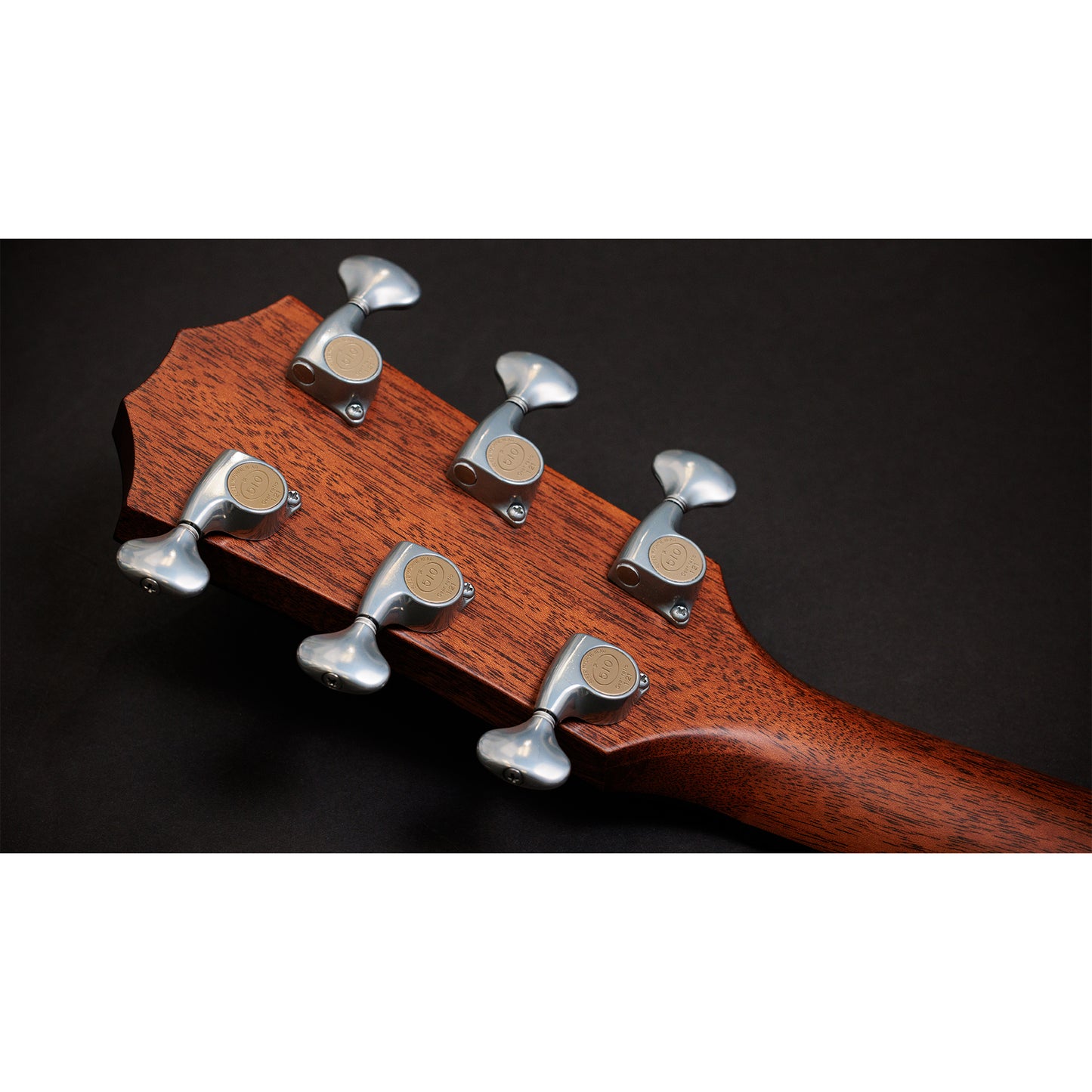 Taylor Custom "The Catch" NAMM 2024 #14 C14ce Grand Auditorium Bearclaw Sitka/AA Indian Rosewood Natural Acoustic Guitars / OM and Auditorium