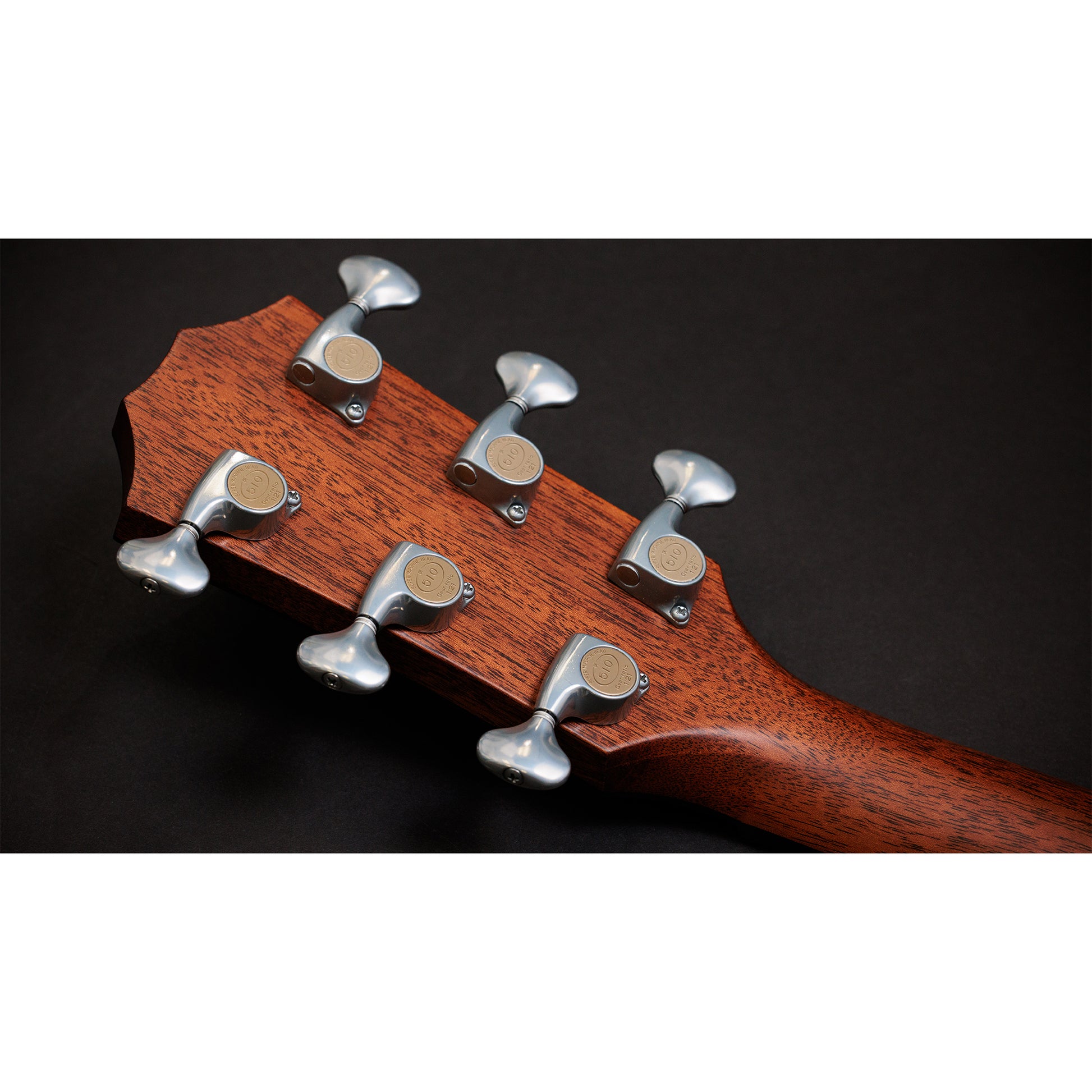Taylor Custom "The Catch" NAMM 2024 #14 C14ce Grand Auditorium Bearclaw Sitka/AA Indian Rosewood Natural Acoustic Guitars / OM and Auditorium