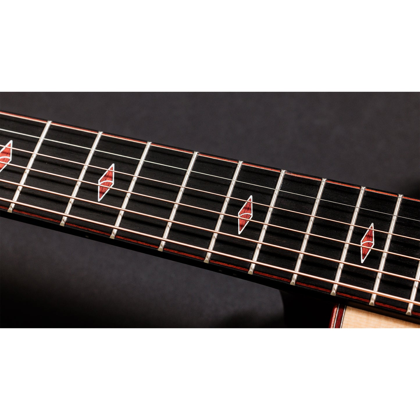 Taylor Custom "The Catch" NAMM 2024 #14 C14ce Grand Auditorium Bearclaw Sitka/AA Indian Rosewood Natural Acoustic Guitars / OM and Auditorium