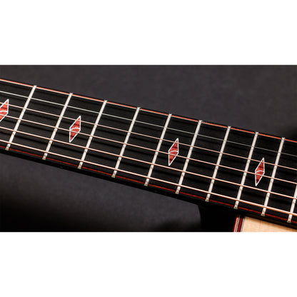 Taylor Custom "The Catch" NAMM 2024 #14 C14ce Grand Auditorium Bearclaw Sitka/AA Indian Rosewood Natural Acoustic Guitars / OM and Auditorium