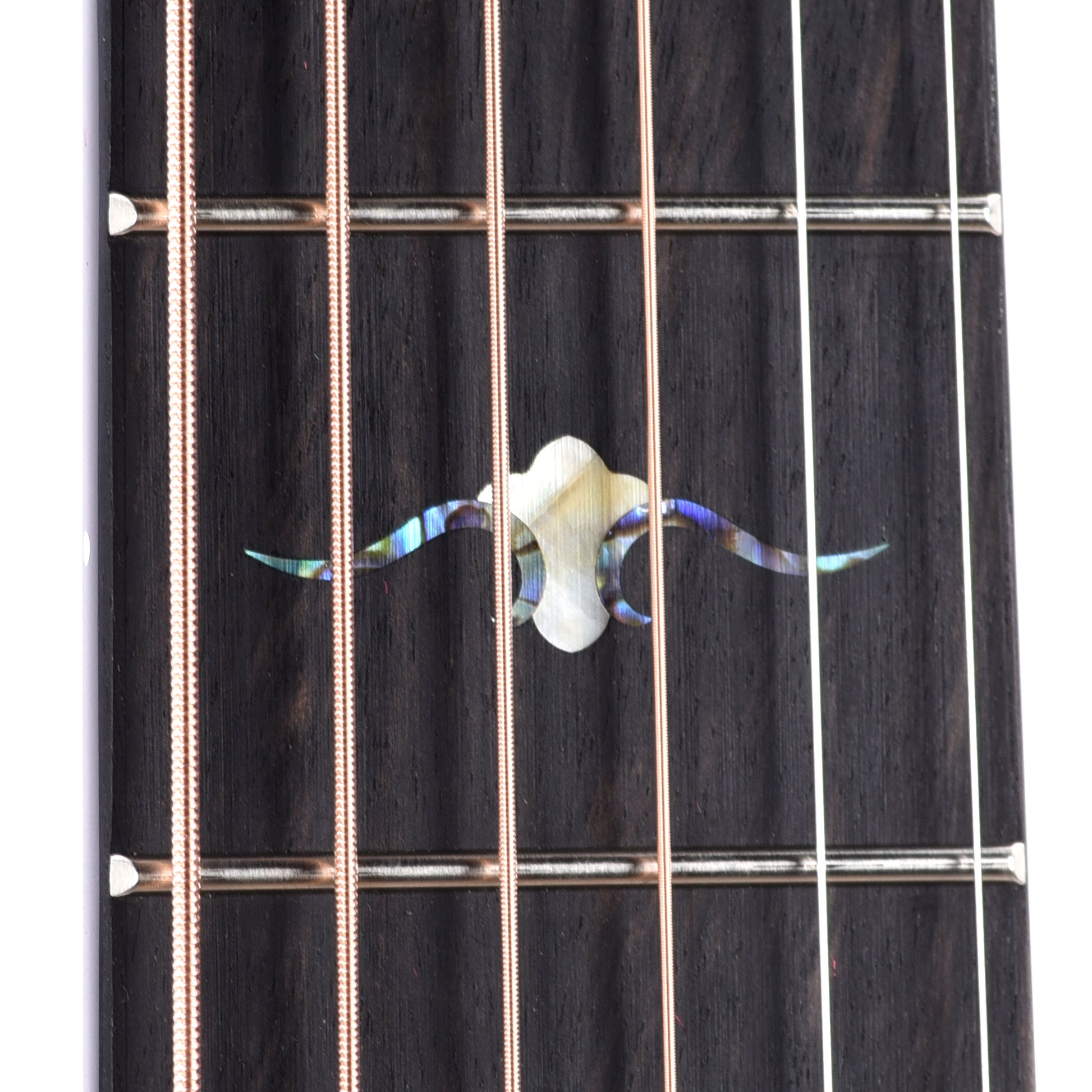 Taylor Custom "The Catch" NAMM 2024 #33 C17e Grand Pacific Torrefied Sitka/Bocote Aged Toner Acoustic Guitars / OM and Auditorium