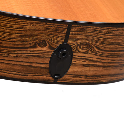 Taylor Custom "The Catch" NAMM 2024 #33 C17e Grand Pacific Torrefied Sitka/Bocote Aged Toner Acoustic Guitars / OM and Auditorium