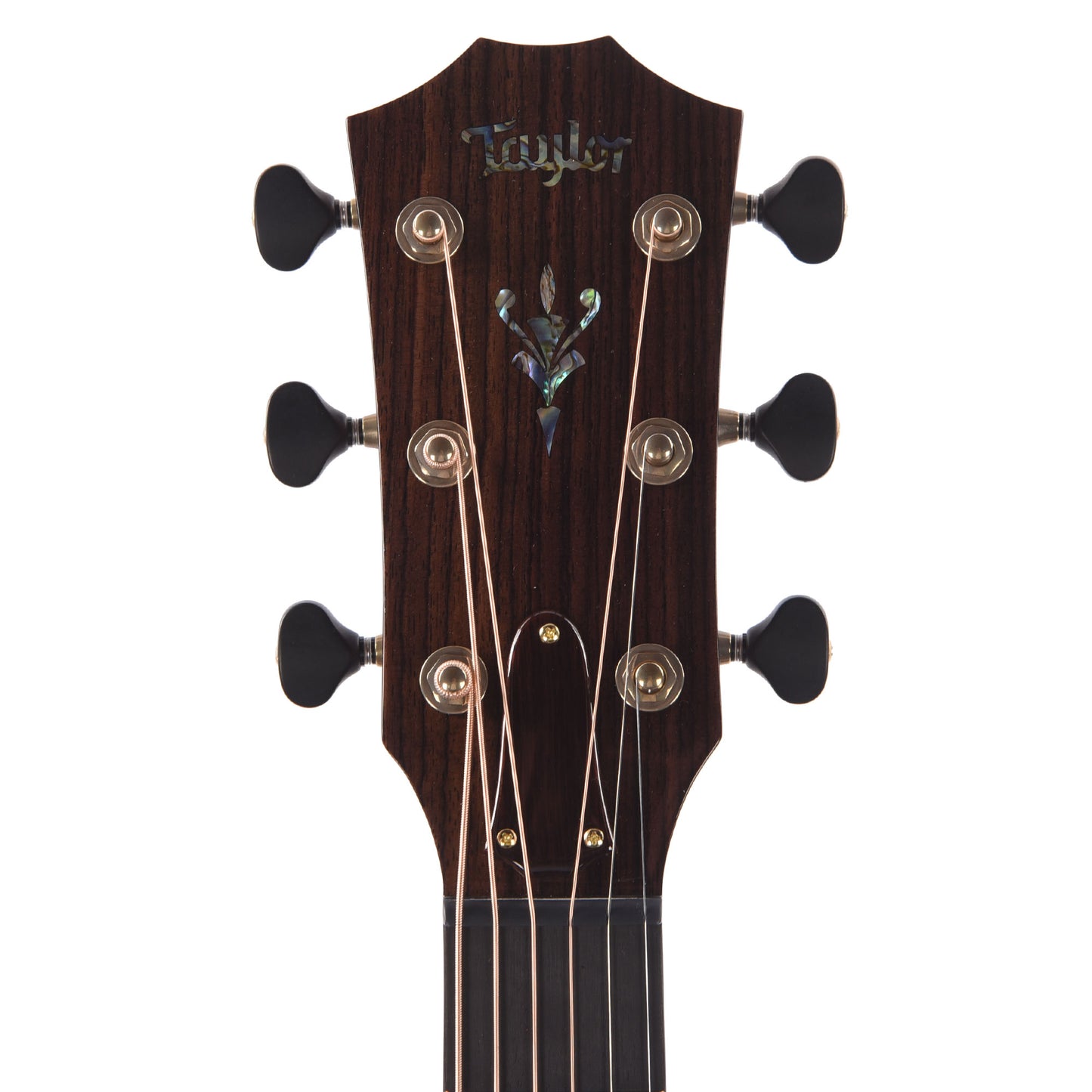 Taylor Custom "The Catch" NAMM 2024 #4 C17e Grand Pacific Lutz Spruce/AA Indian Rosewood Antique Blond Top Acoustic Guitars / OM and Auditorium
