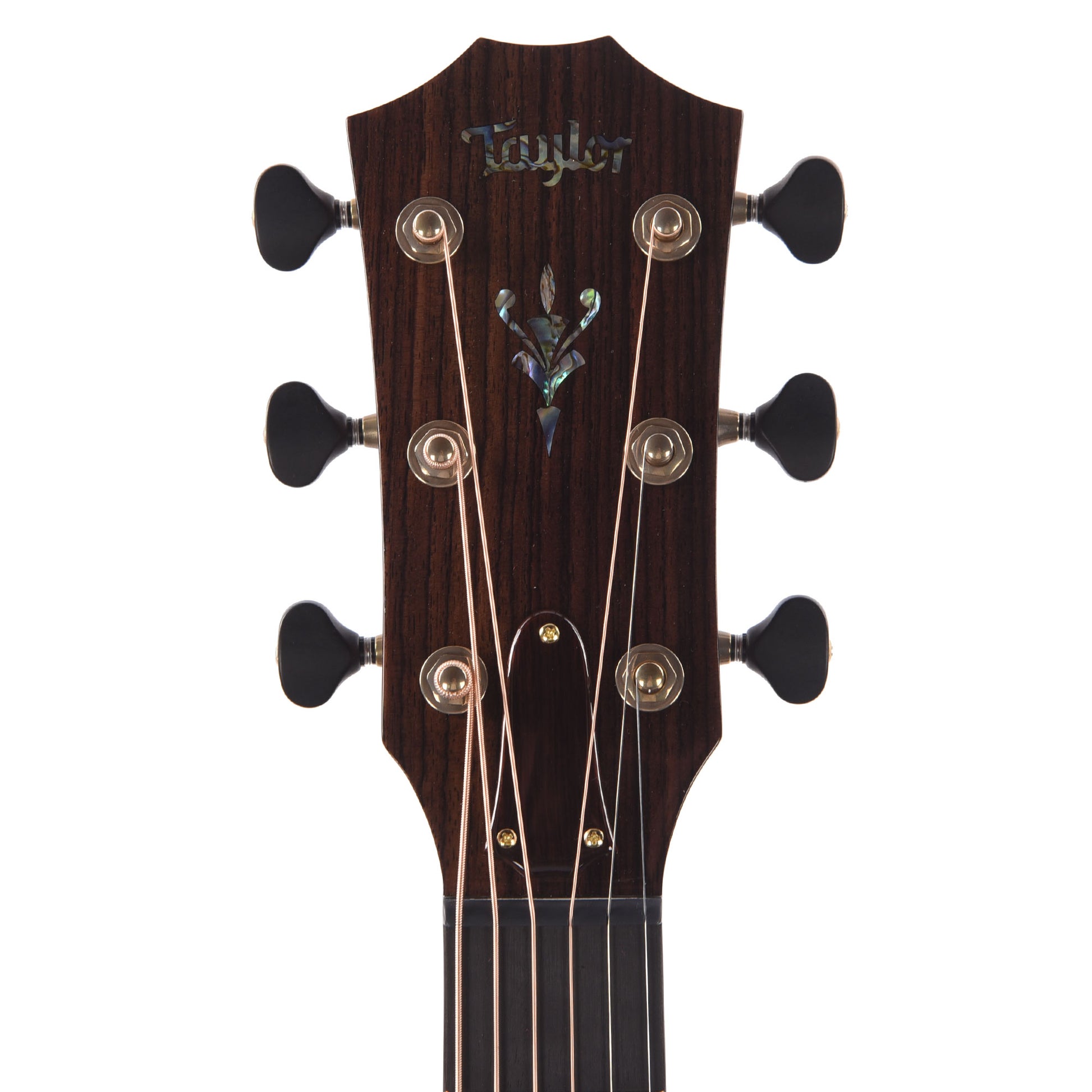 Taylor Custom "The Catch" NAMM 2024 #4 C17e Grand Pacific Lutz Spruce/AA Indian Rosewood Antique Blond Top Acoustic Guitars / OM and Auditorium