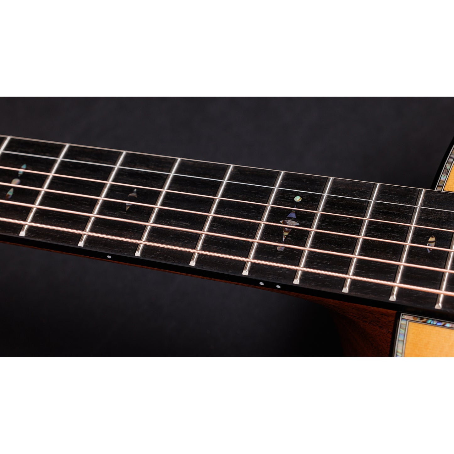 Taylor Custom "The Catch" NAMM 2024 #4 C17e Grand Pacific Lutz Spruce/AA Indian Rosewood Antique Blond Top Acoustic Guitars / OM and Auditorium