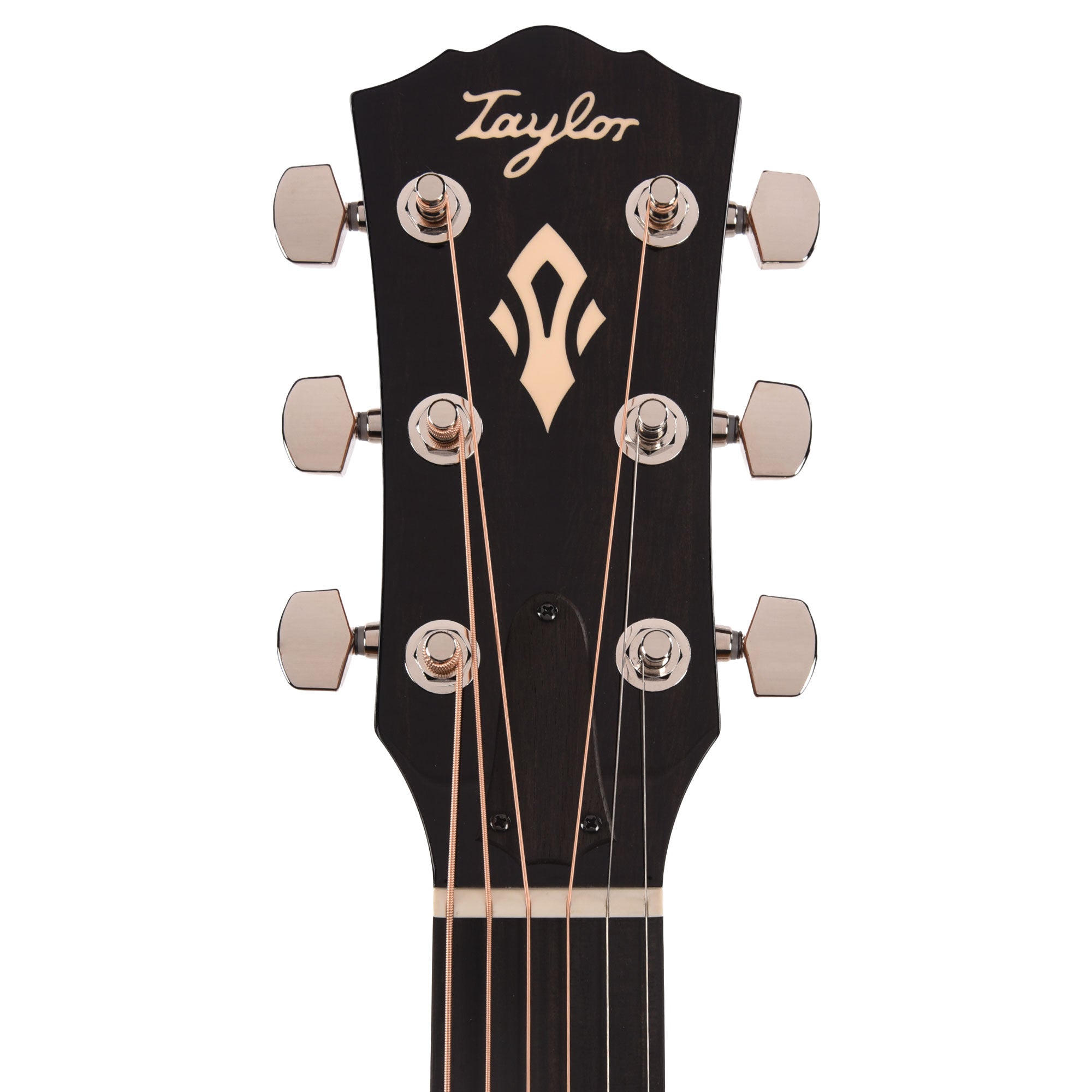 Taylor Gold Label 514e Super Auditorium Torrefied Spruce/Mahogany Natural w/L.R. Baggs VTC Acoustic Guitars / OM and Auditorium