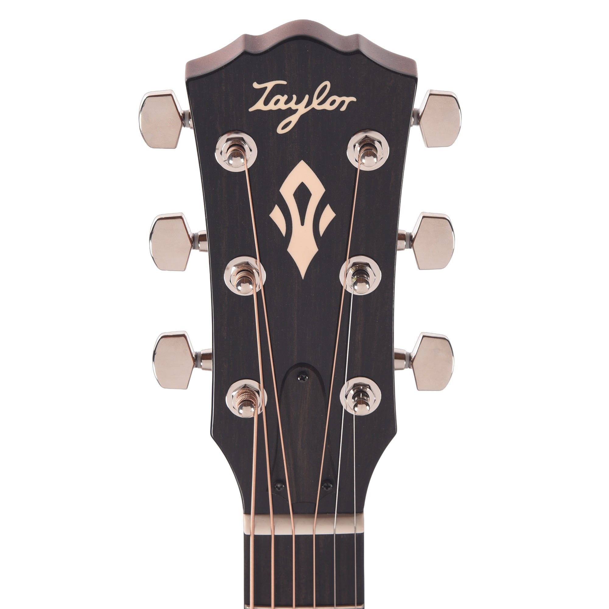 Taylor Gold Label 514e Super Auditorium Torrefied Spruce/Mahogany Sunburst w/Firestripe Pickguard & L.R. Baggs VTC Acoustic Guitars / OM and Auditorium