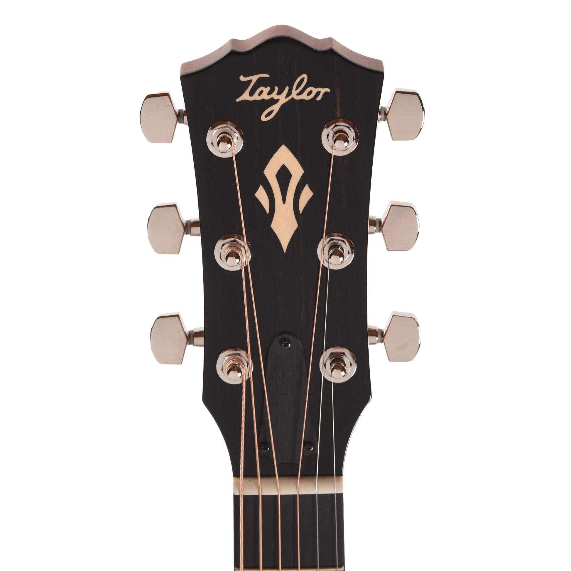 Taylor Gold Label 517e Grand Pacific Torrefied Sitka/Neo-Tropical Mahogany Blacktop w/L.R. Baggs VTC Acoustic Guitars / OM and Auditorium