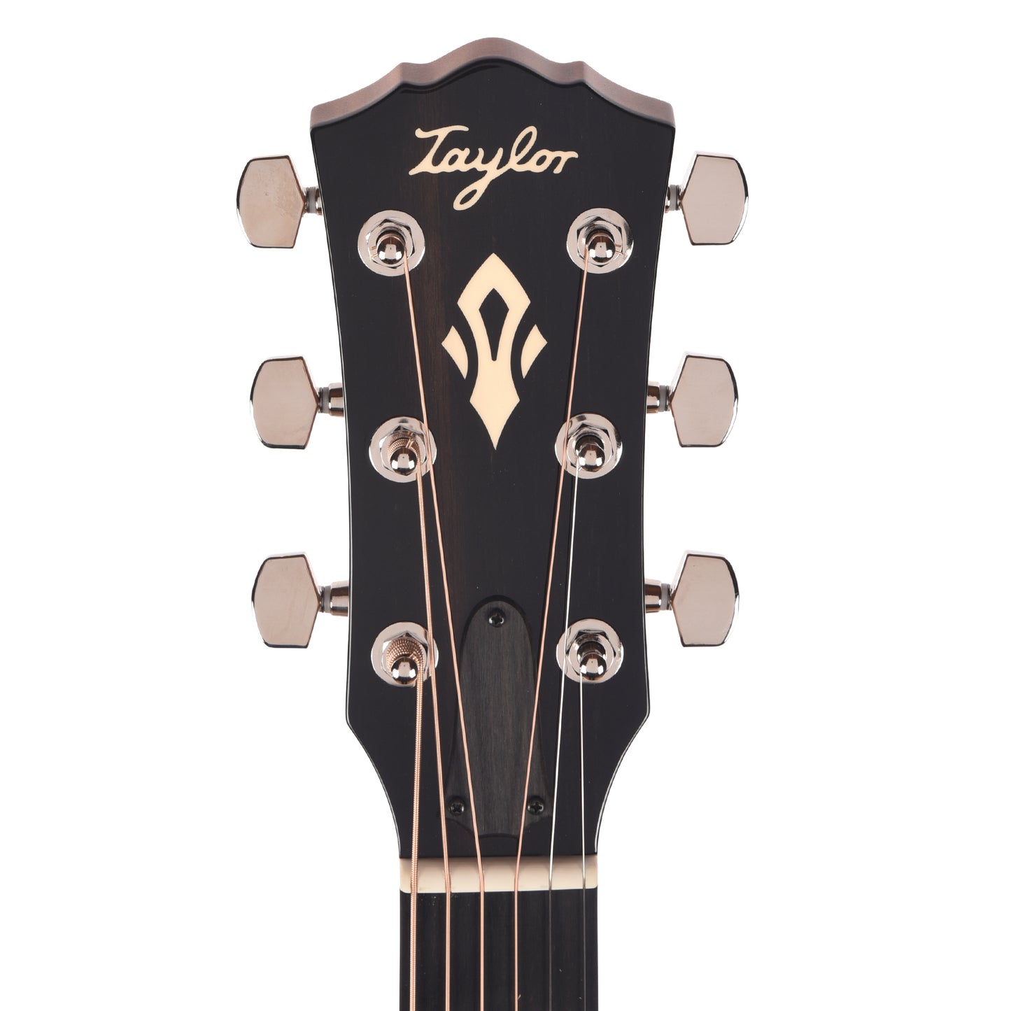 Taylor Gold Label 517e Grand Pacific Torrefied Sitka/Neo-Tropical Mahogany Sunburst w/L.R. Baggs VTC Acoustic Guitars / OM and Auditorium