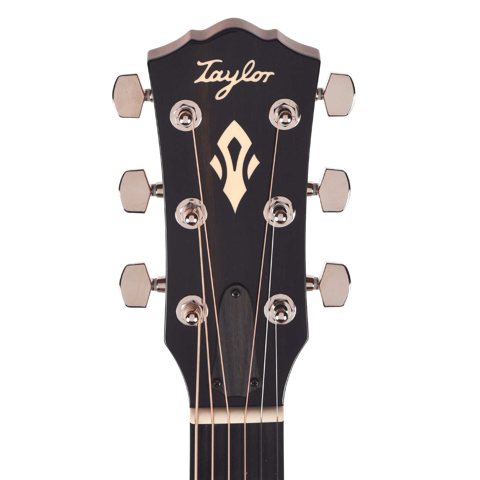 Taylor Gold Label 517e Grand Pacific Torrefied Sitka/Neo-Tropical Mahogany Sunburst w/L.R. Baggs VTC Acoustic Guitars / OM and Auditorium