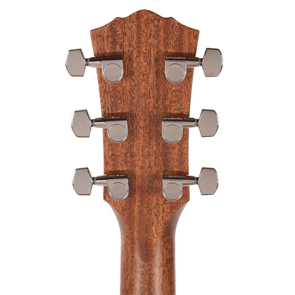 Taylor Gold Label 517e Grand Pacific Torrefied Sitka/Neo-Tropical Mahogany Sunburst w/L.R. Baggs VTC Acoustic Guitars / OM and Auditorium